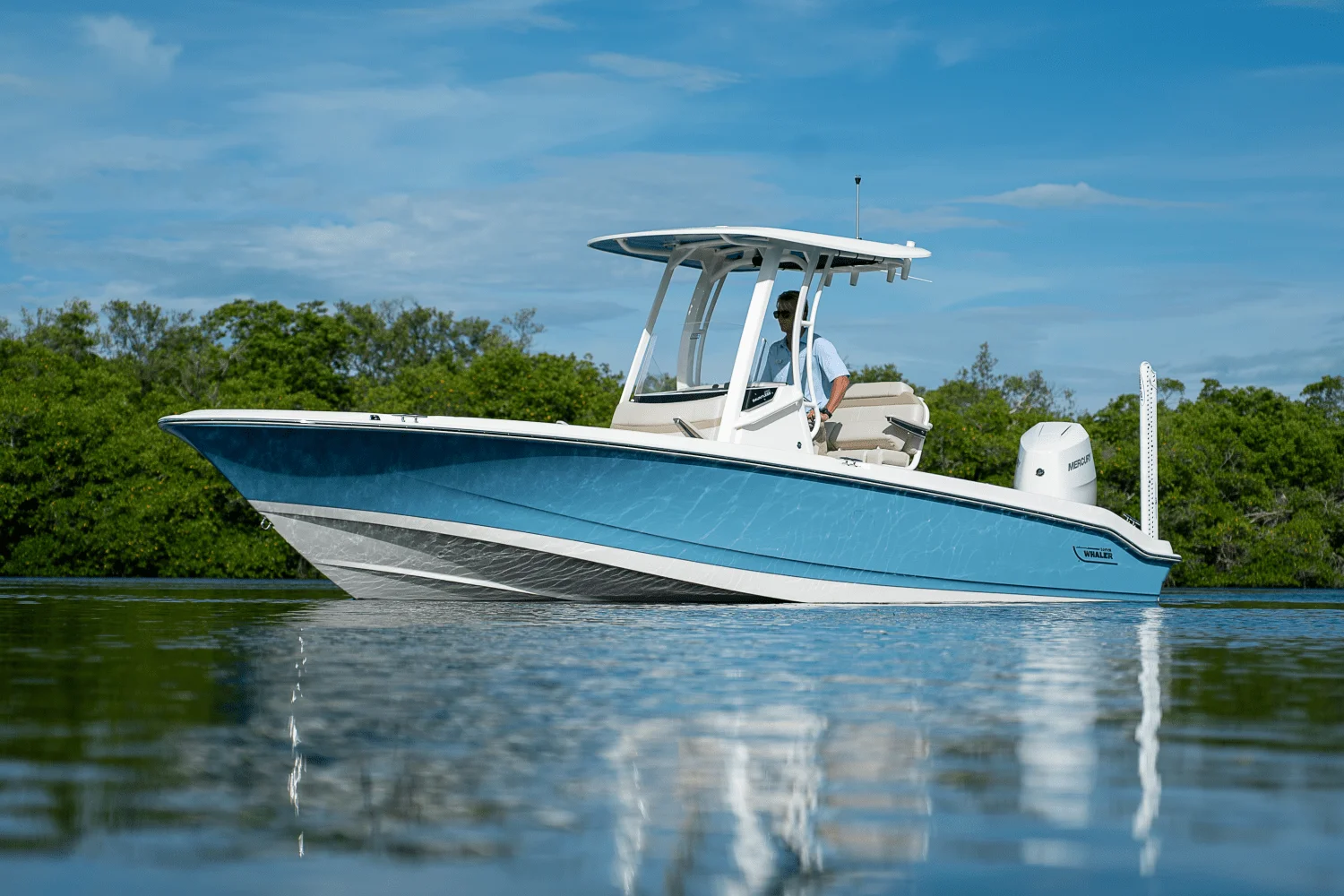 2026 Boston Whaler 250 Dauntless Image Thumbnail #3