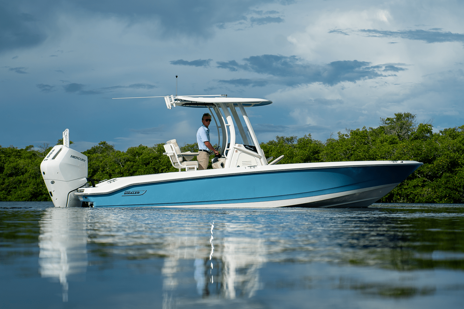 2026 Boston Whaler 250 Dauntless Image Thumbnail #39