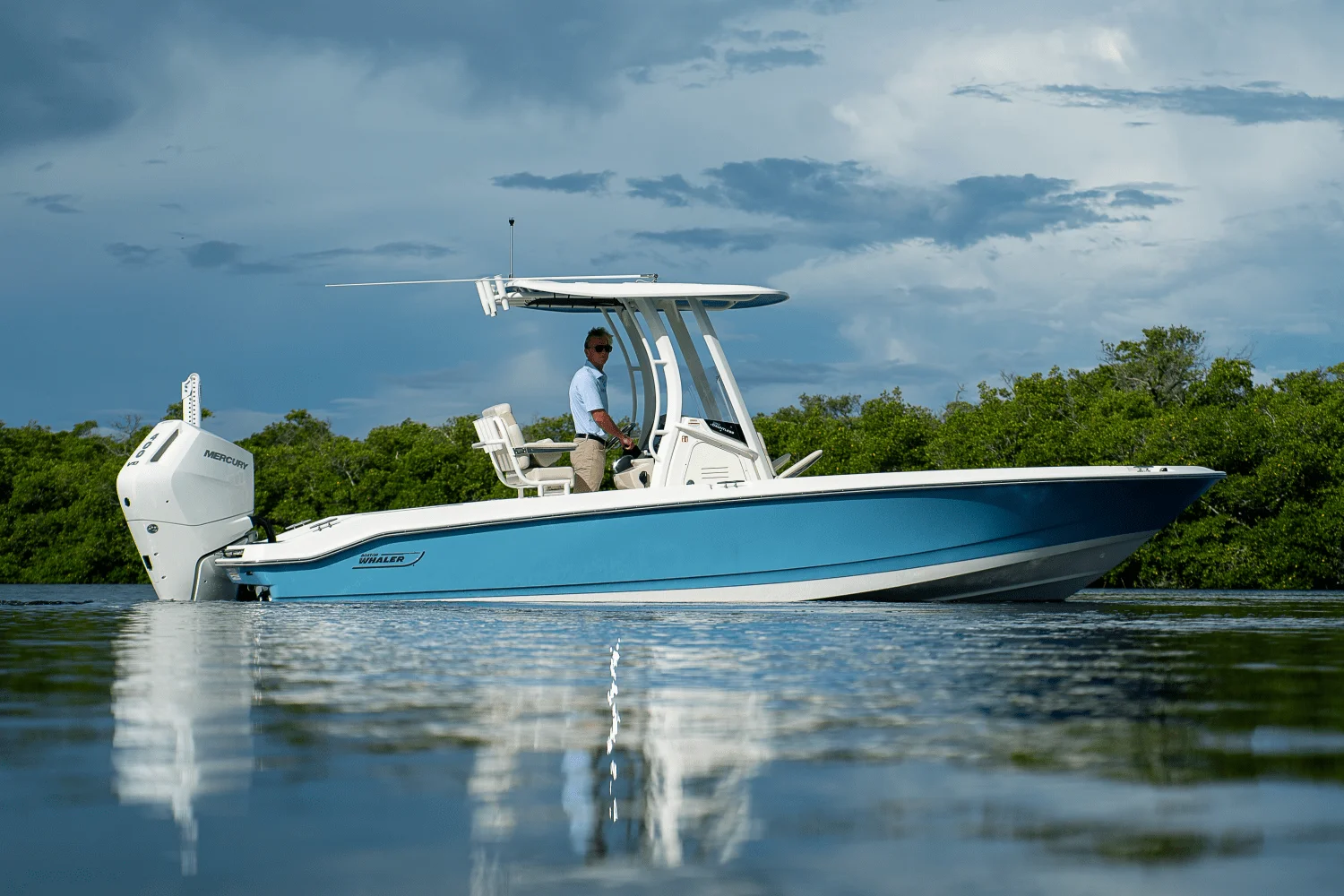 2026 Boston Whaler 250 Dauntless Image Thumbnail #39