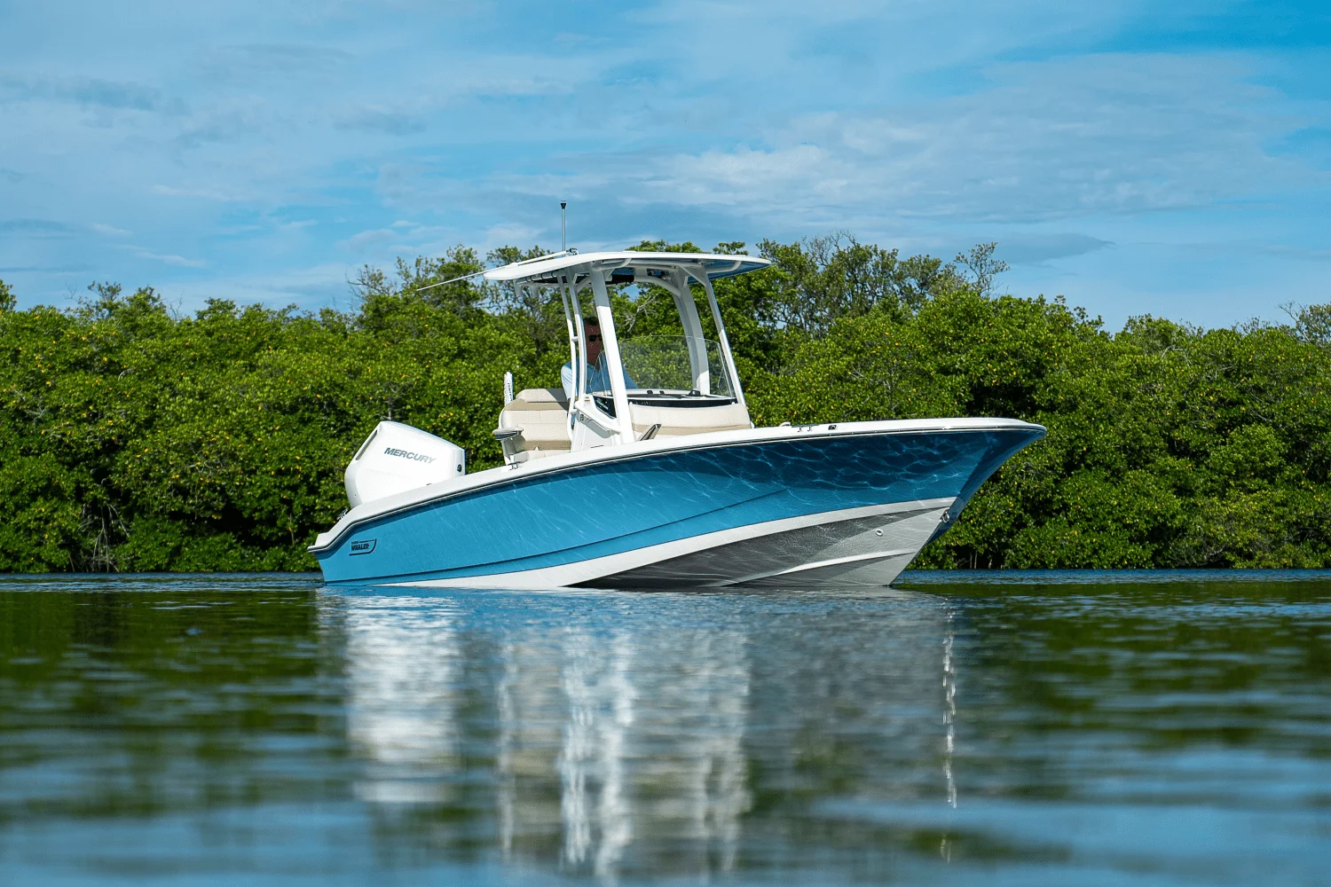 2026 Boston Whaler 250 Dauntless Image Thumbnail #24