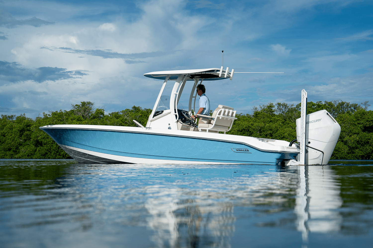 2026 Boston Whaler 250 Dauntless Image Thumbnail #31