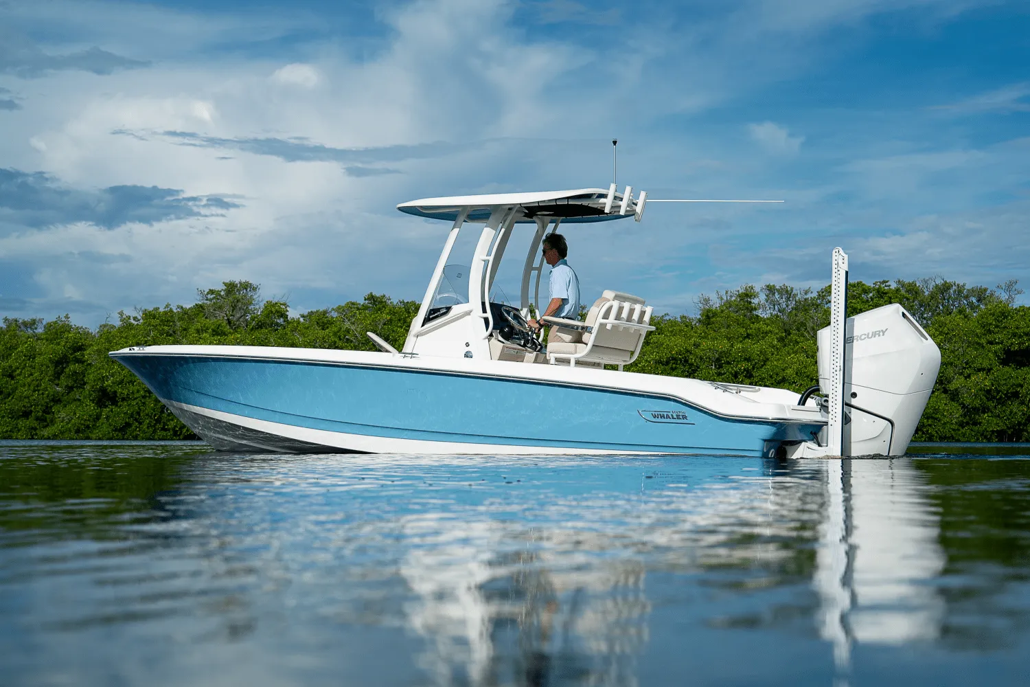 2026 Boston Whaler 250 Dauntless Image Thumbnail #31