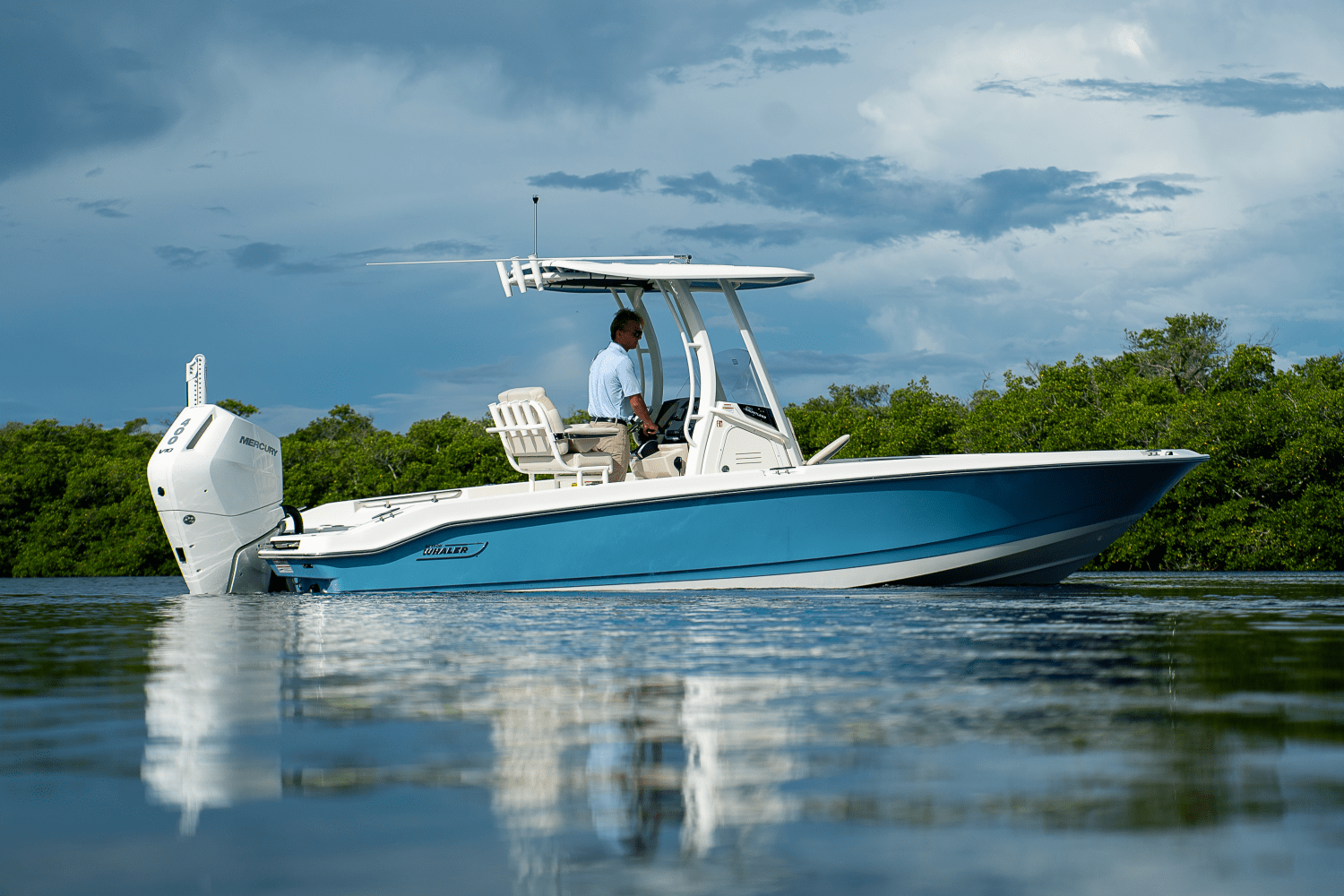 2026 Boston Whaler 250 Dauntless Image Thumbnail #38