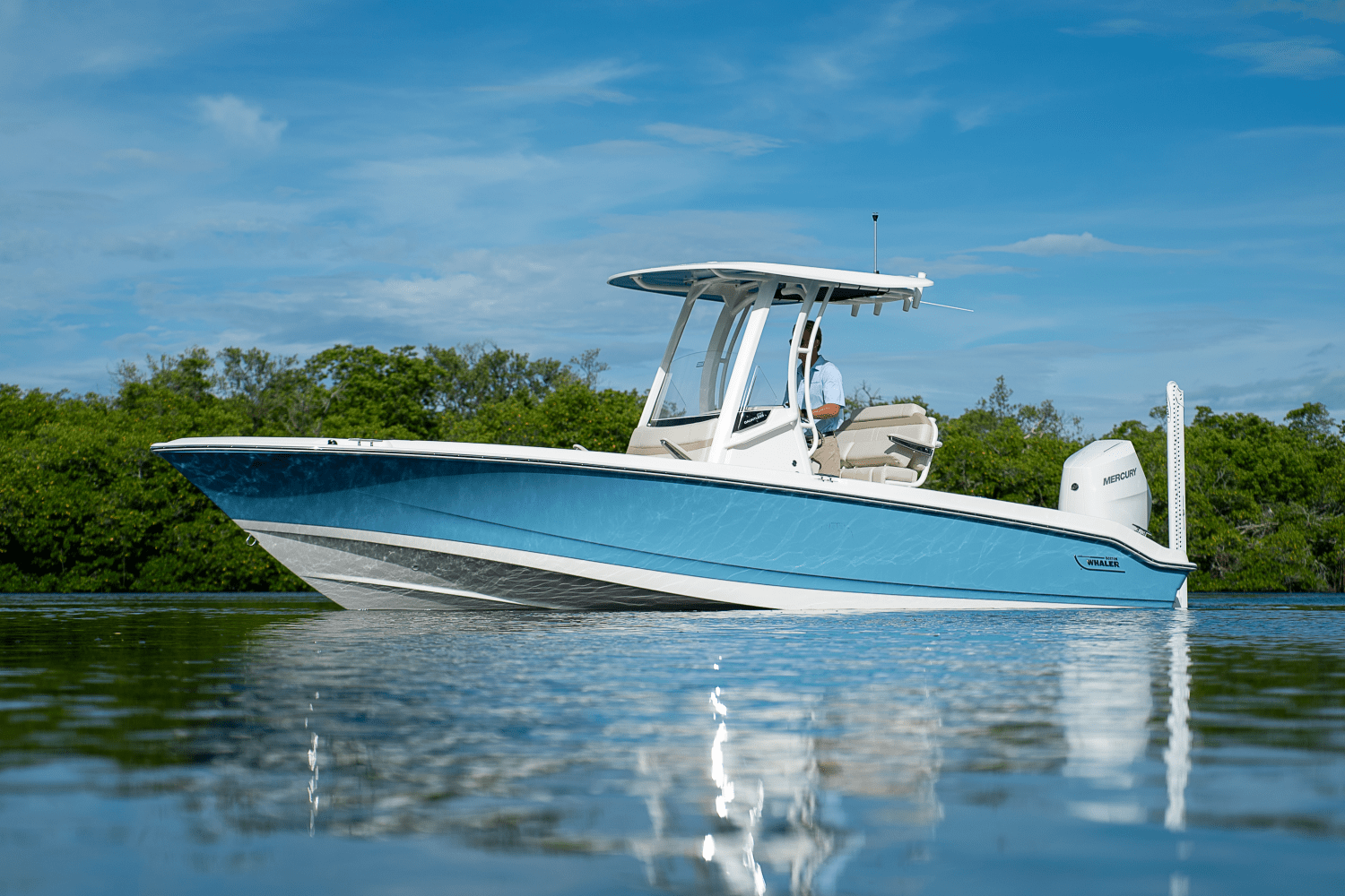 2026 Boston Whaler 250 Dauntless Image Thumbnail #28