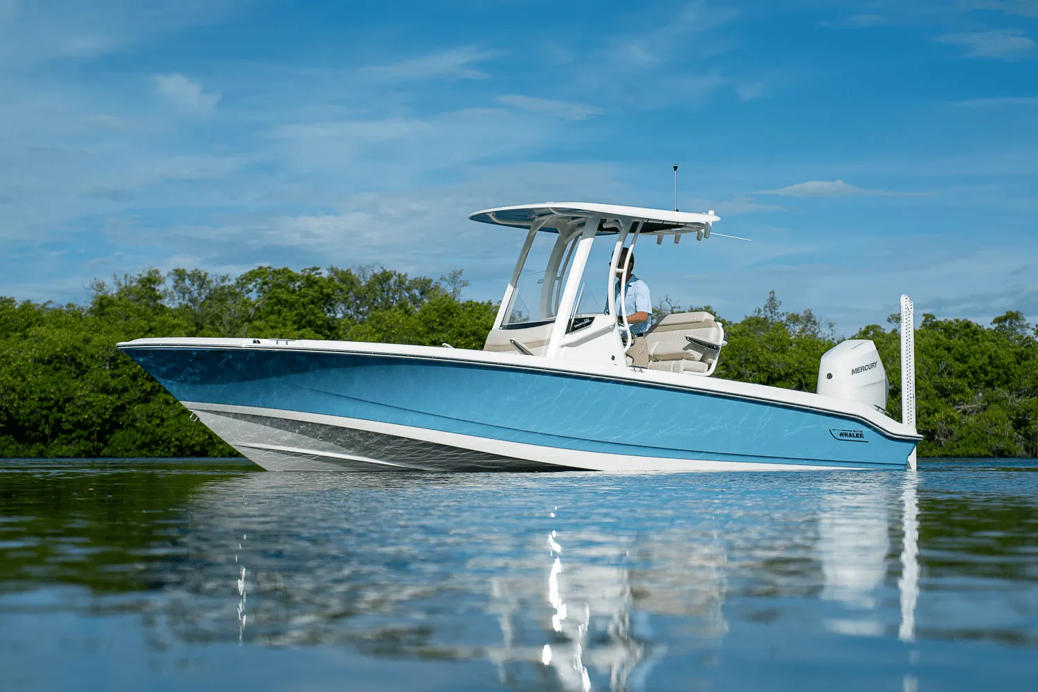 2026 Boston Whaler 250 Dauntless Image Thumbnail #28