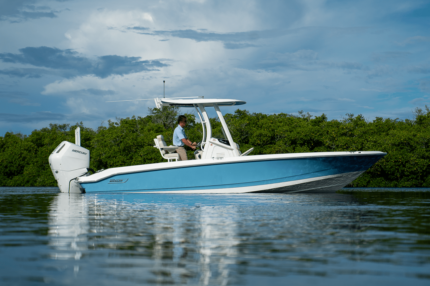 2026 Boston Whaler 250 Dauntless Image Thumbnail #21