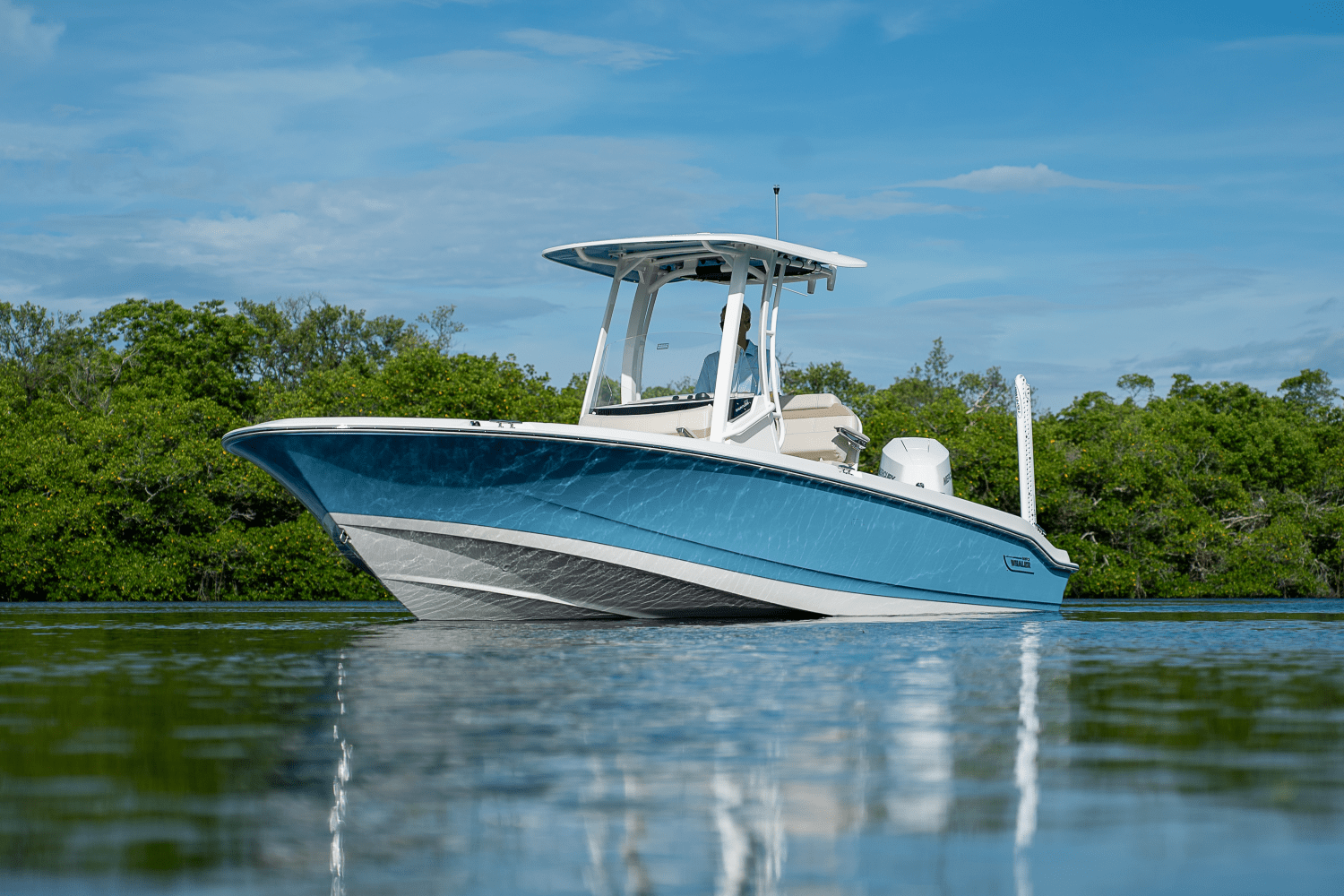 2026 Boston Whaler 250 Dauntless Image Thumbnail #27