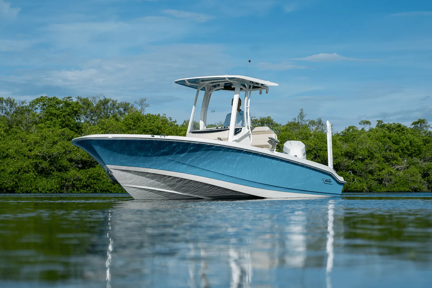 2026 Boston Whaler 250 Dauntless Image Thumbnail #27