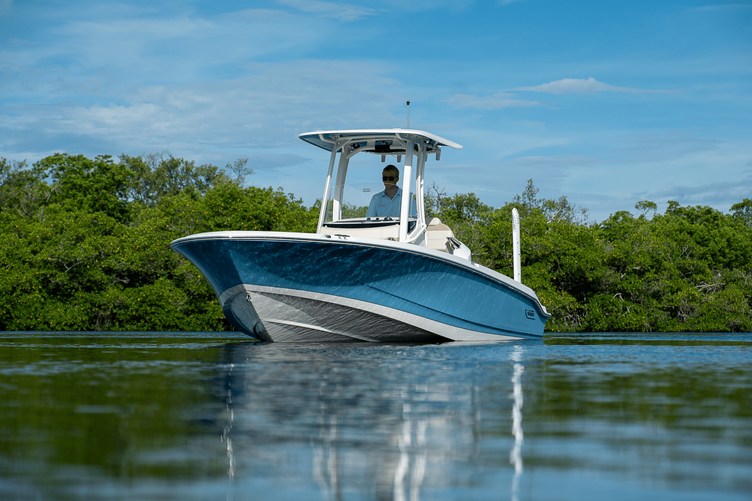 2026 Boston Whaler 250 Dauntless Image Thumbnail #26
