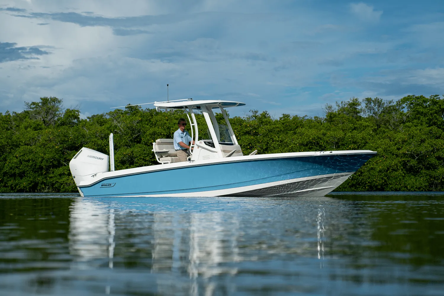 2026 Boston Whaler 250 Dauntless Image Thumbnail #0