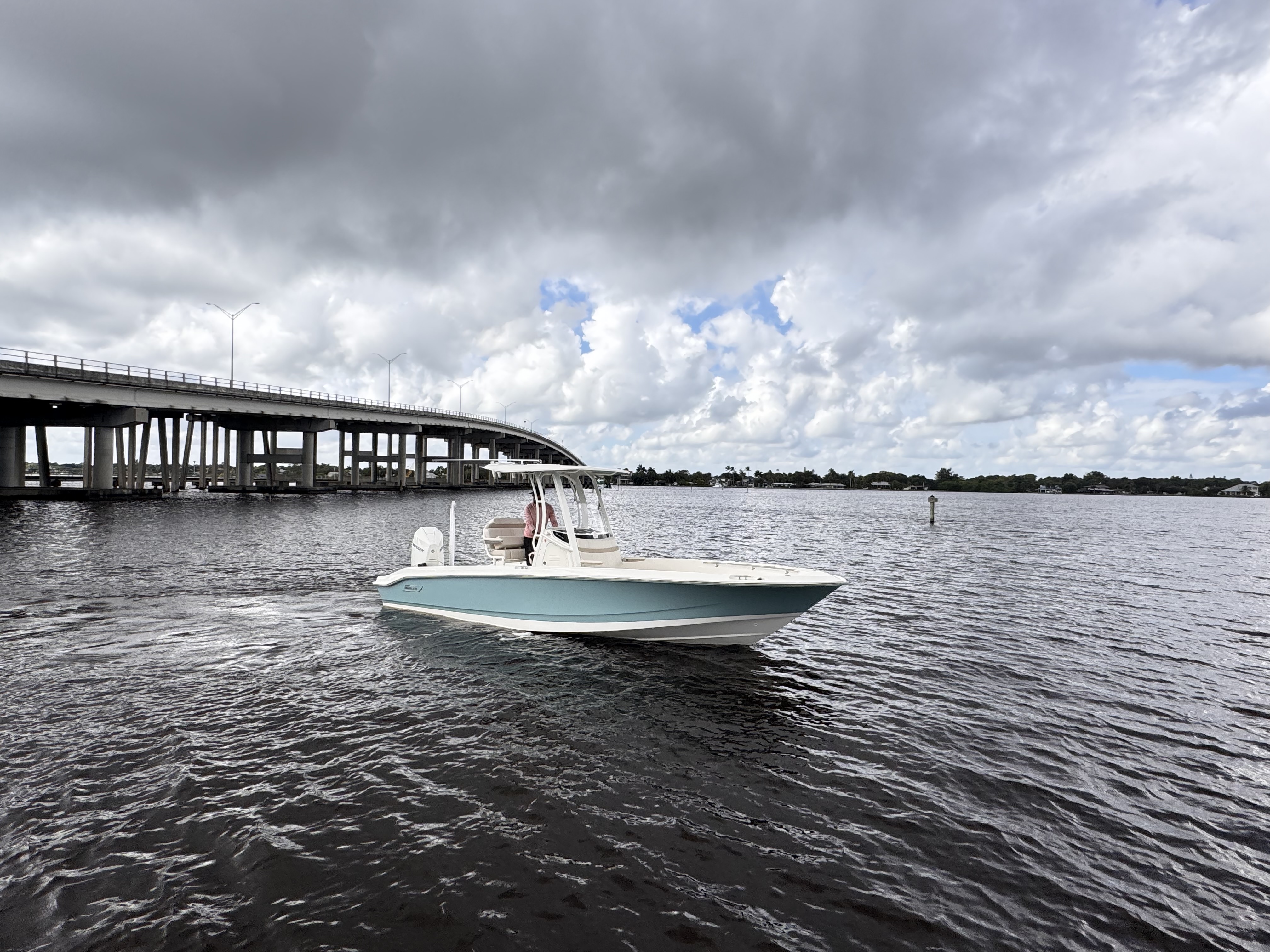 2026 Boston Whaler 250 Dauntless Image Thumbnail #1