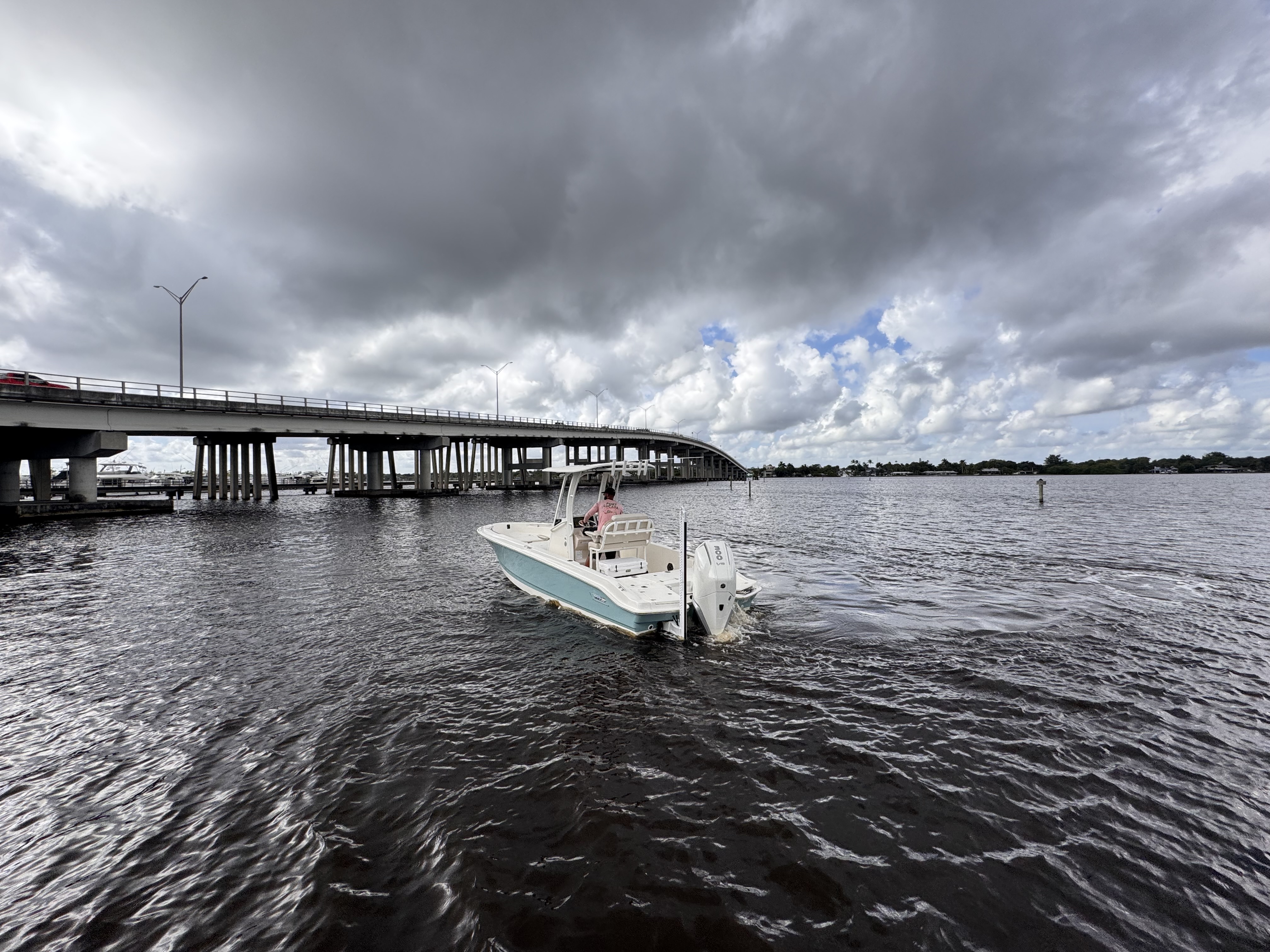 2026 Boston Whaler 250 Dauntless Image Thumbnail #5