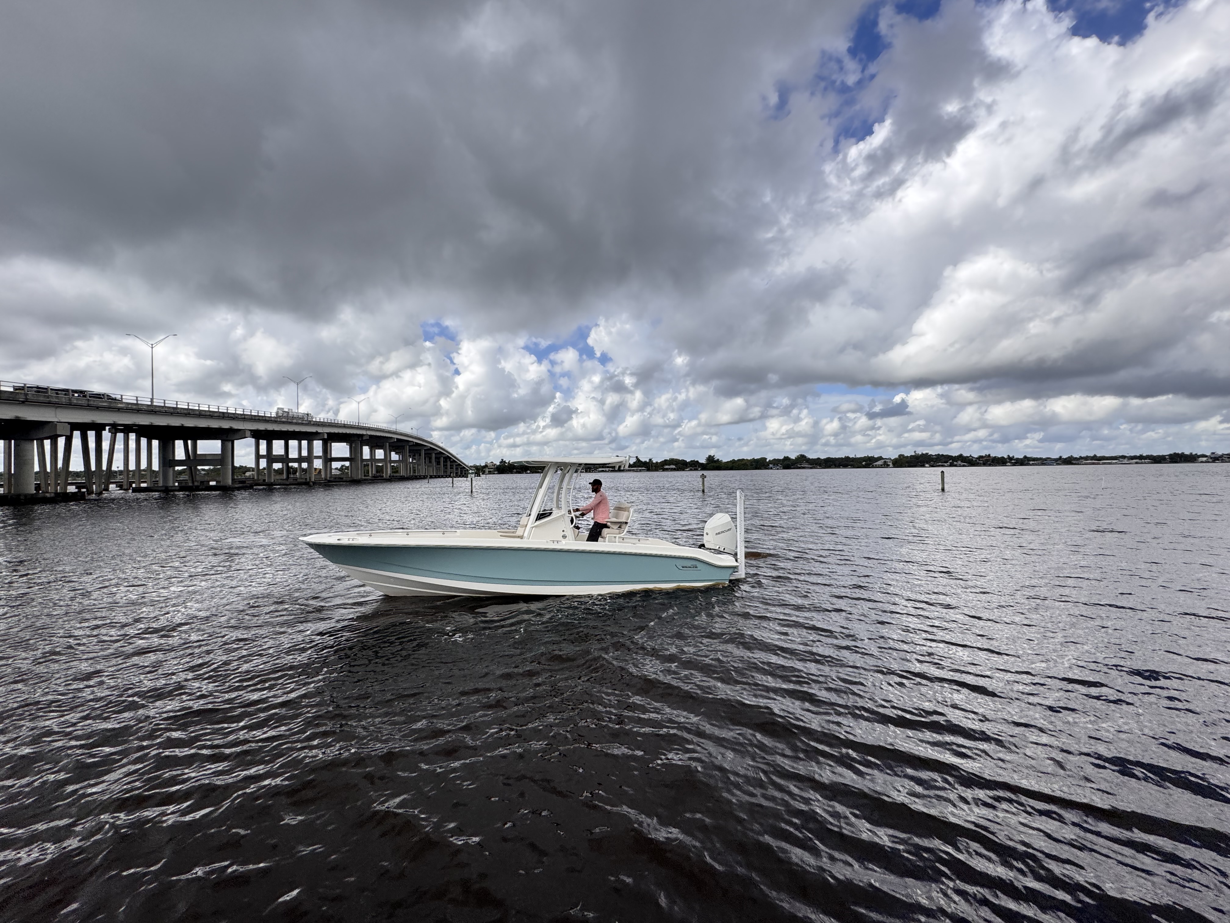 2026 Boston Whaler 250 Dauntless Image Thumbnail #0