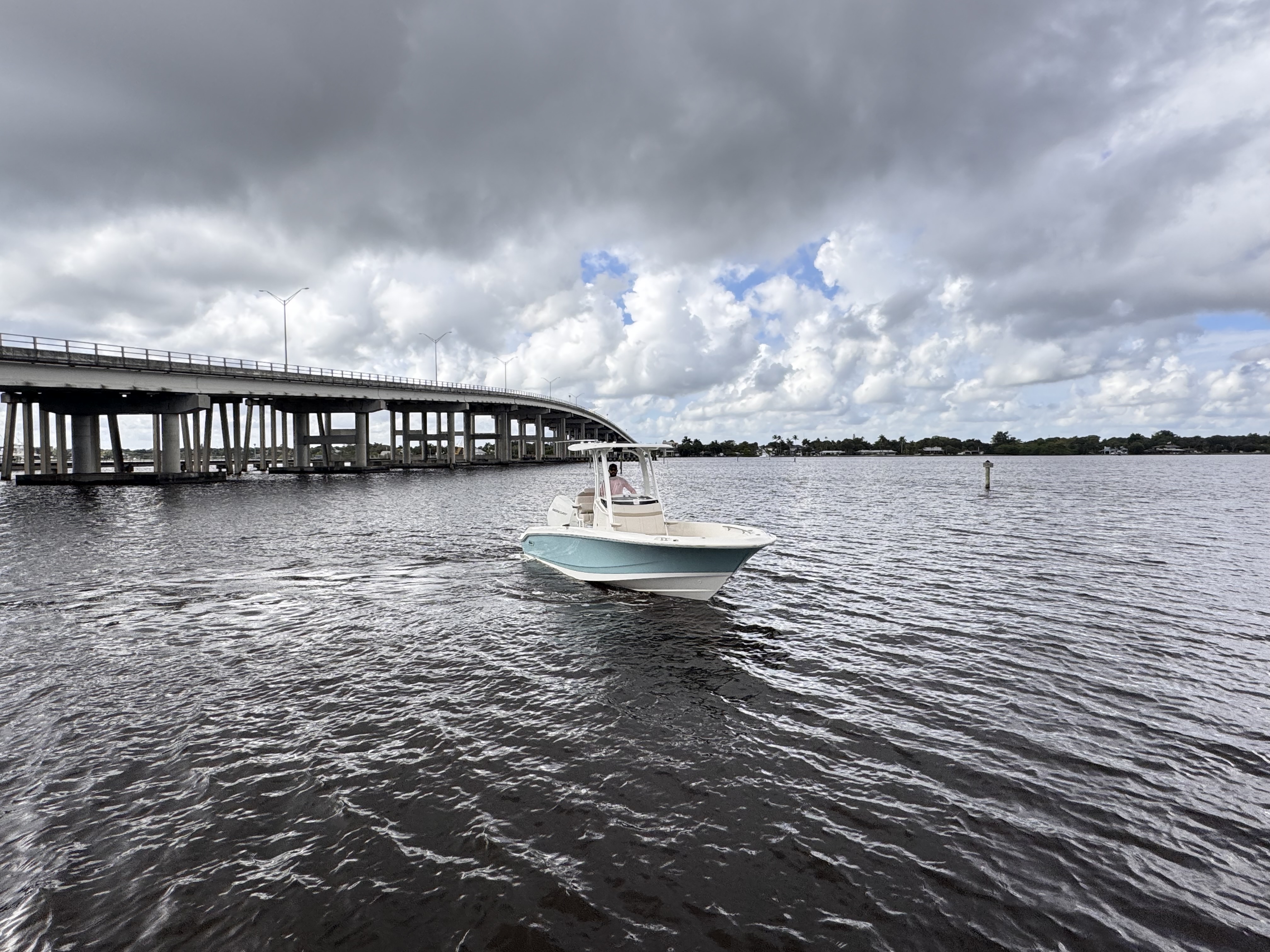 2026 Boston Whaler 250 Dauntless Image Thumbnail #3