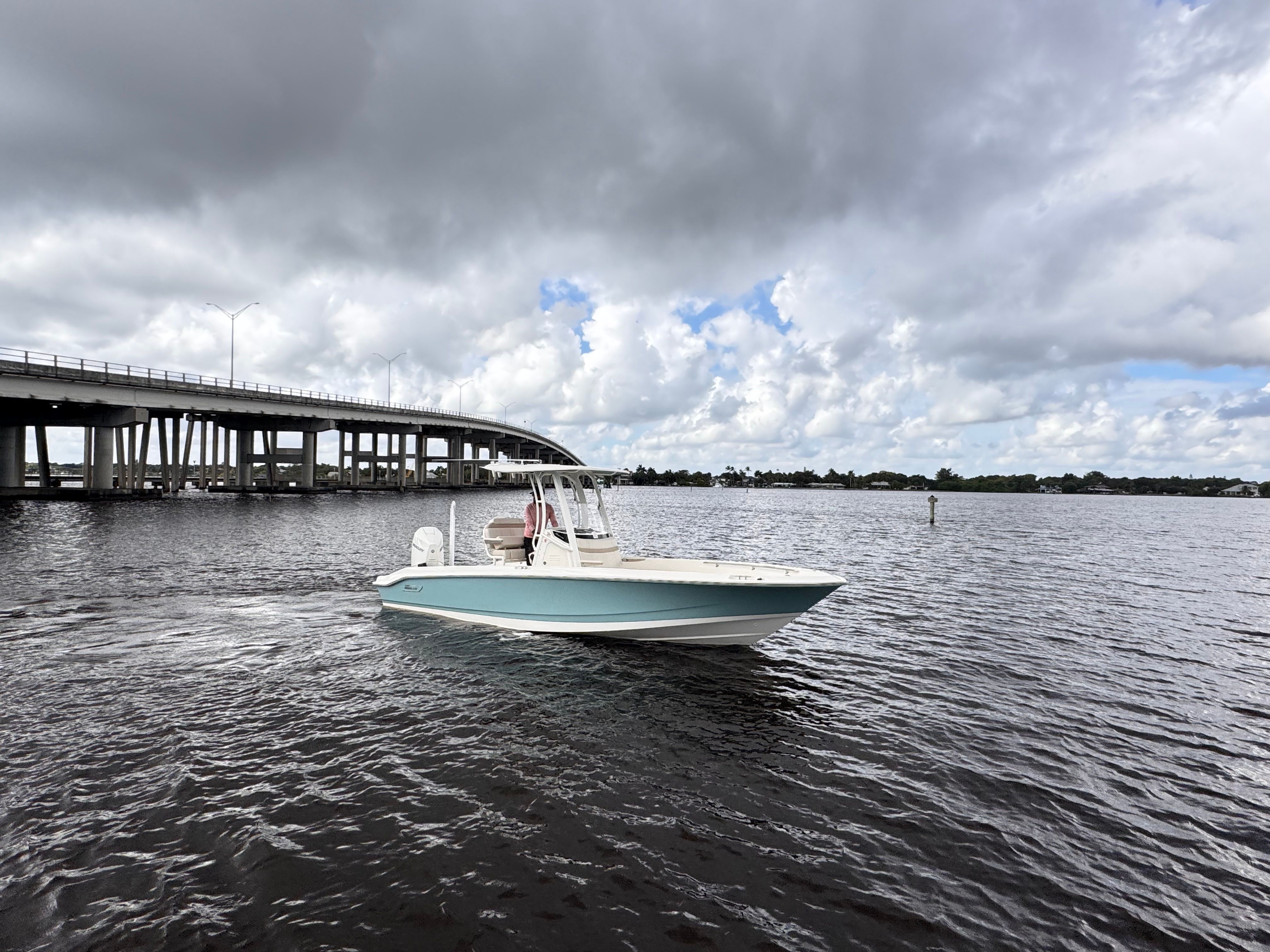 2026 Boston Whaler 250 Dauntless Image Thumbnail #1