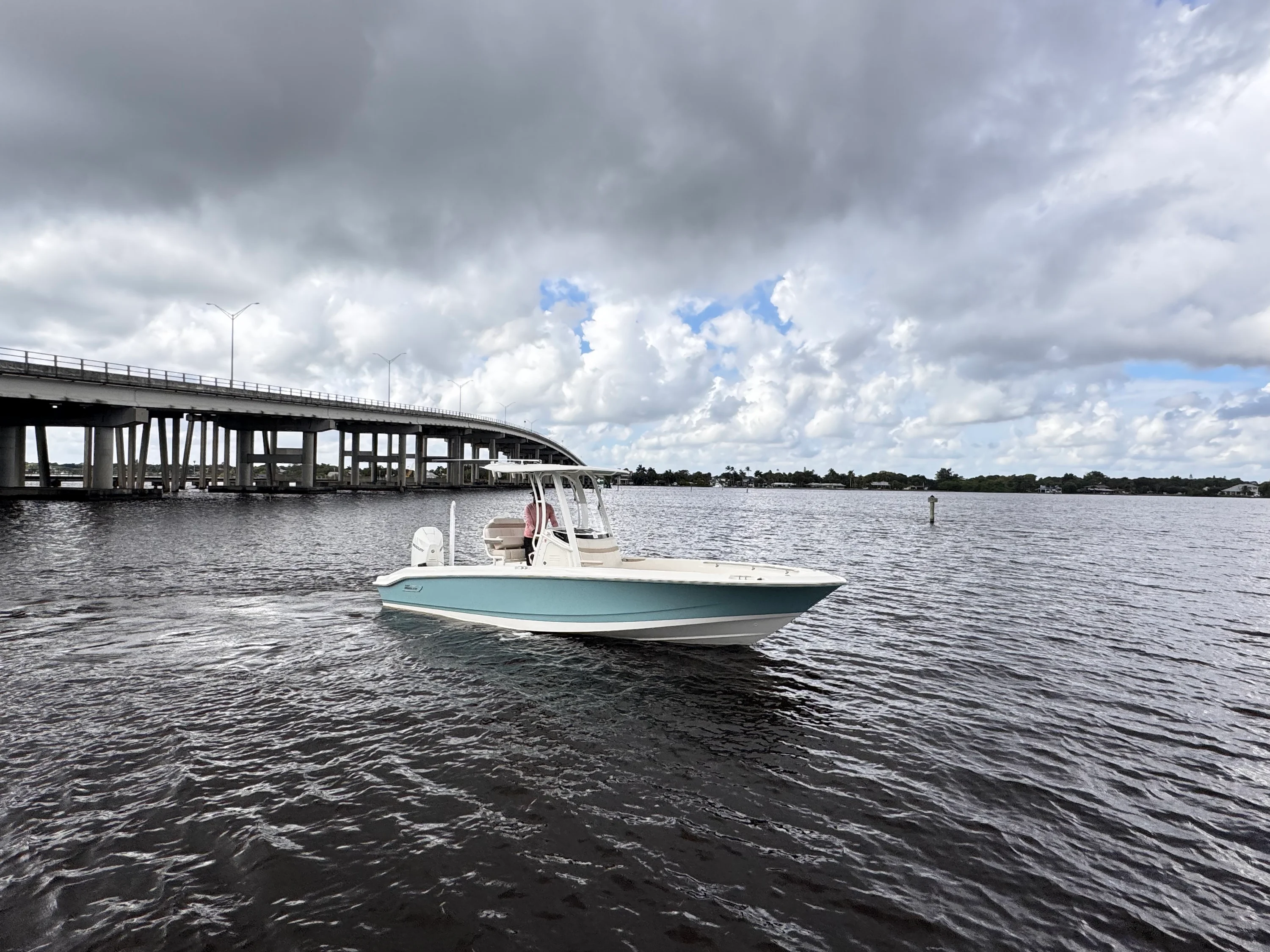 2026 Boston Whaler 250 Dauntless Image Thumbnail #1