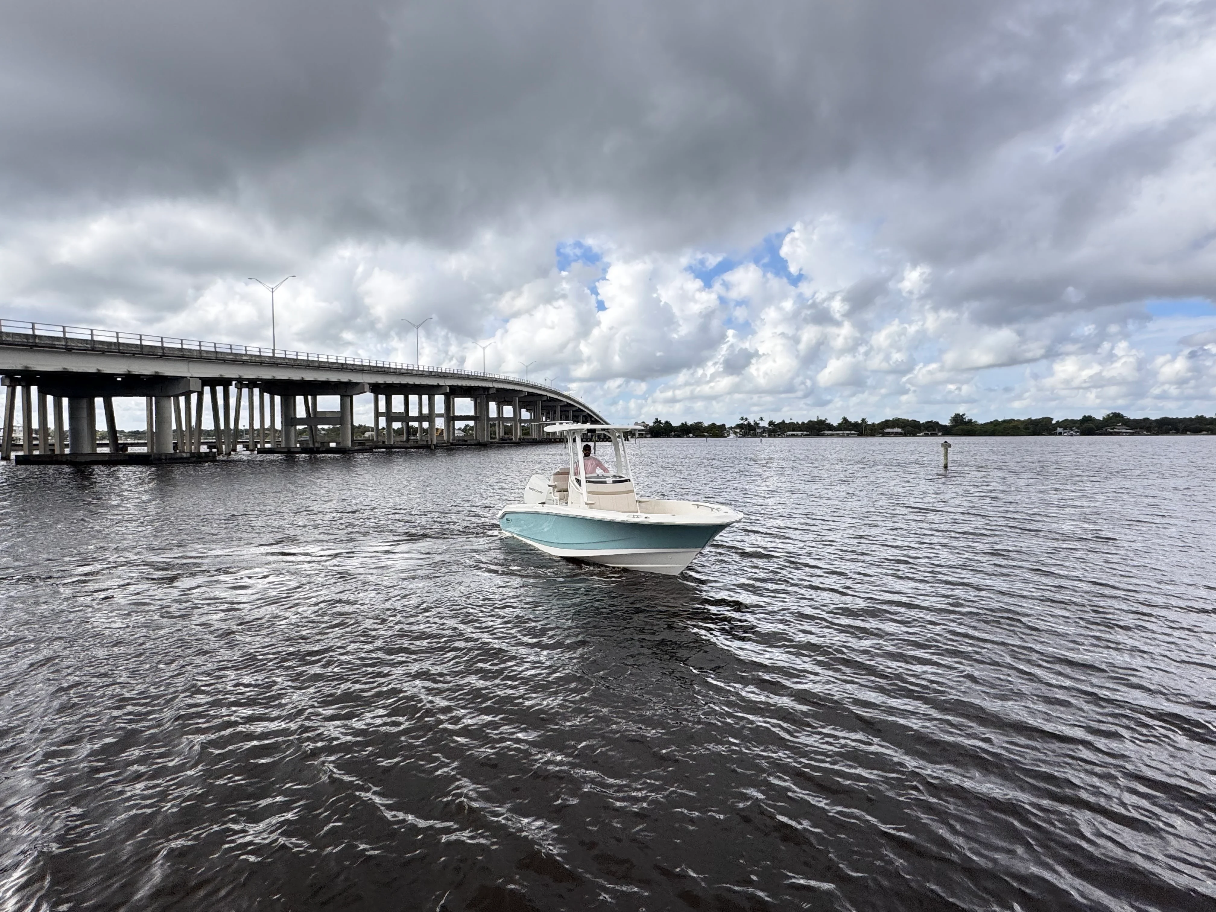 2026 Boston Whaler 250 Dauntless Image Thumbnail #3