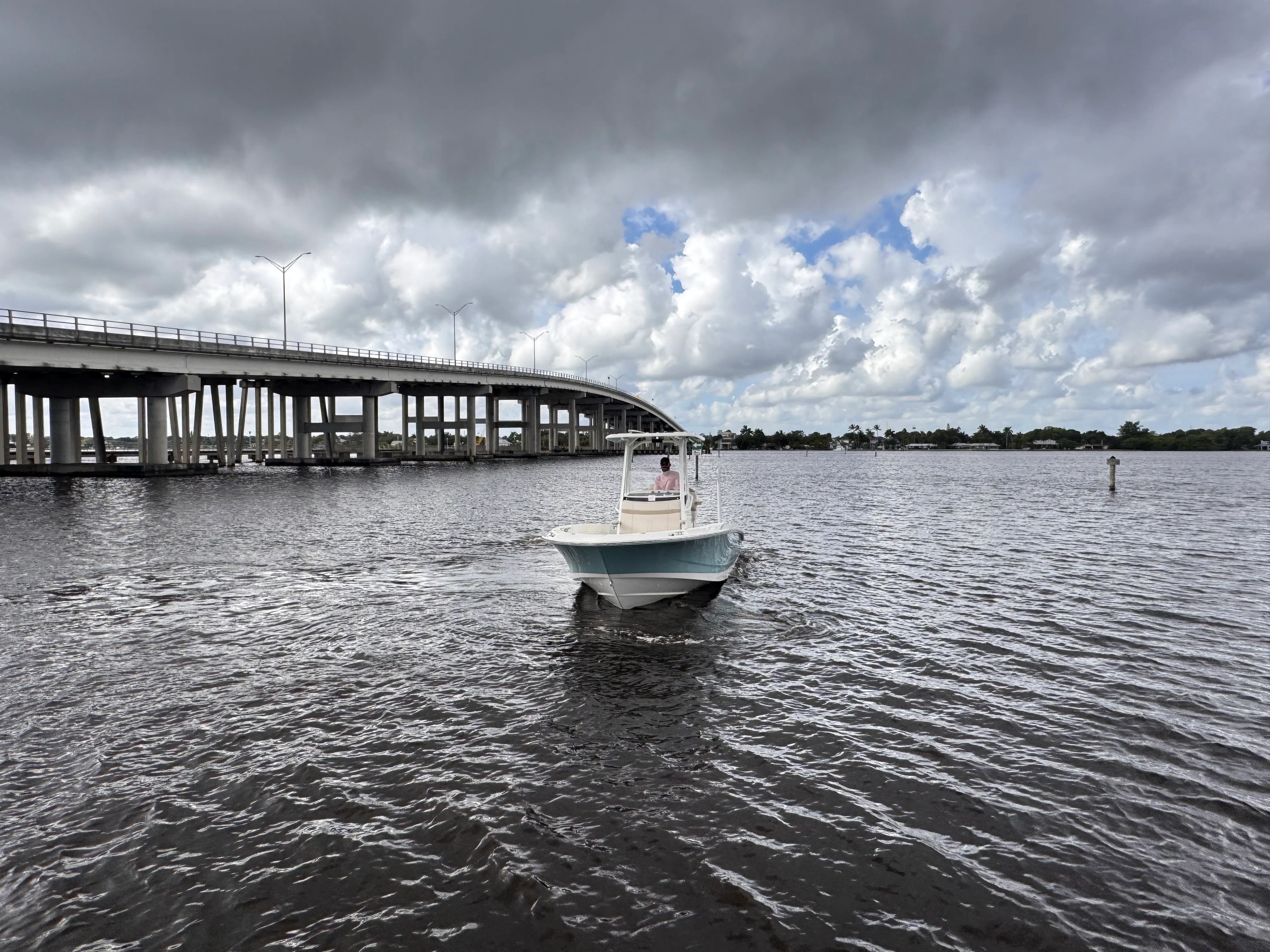 2026 Boston Whaler 250 Dauntless Image Thumbnail #4