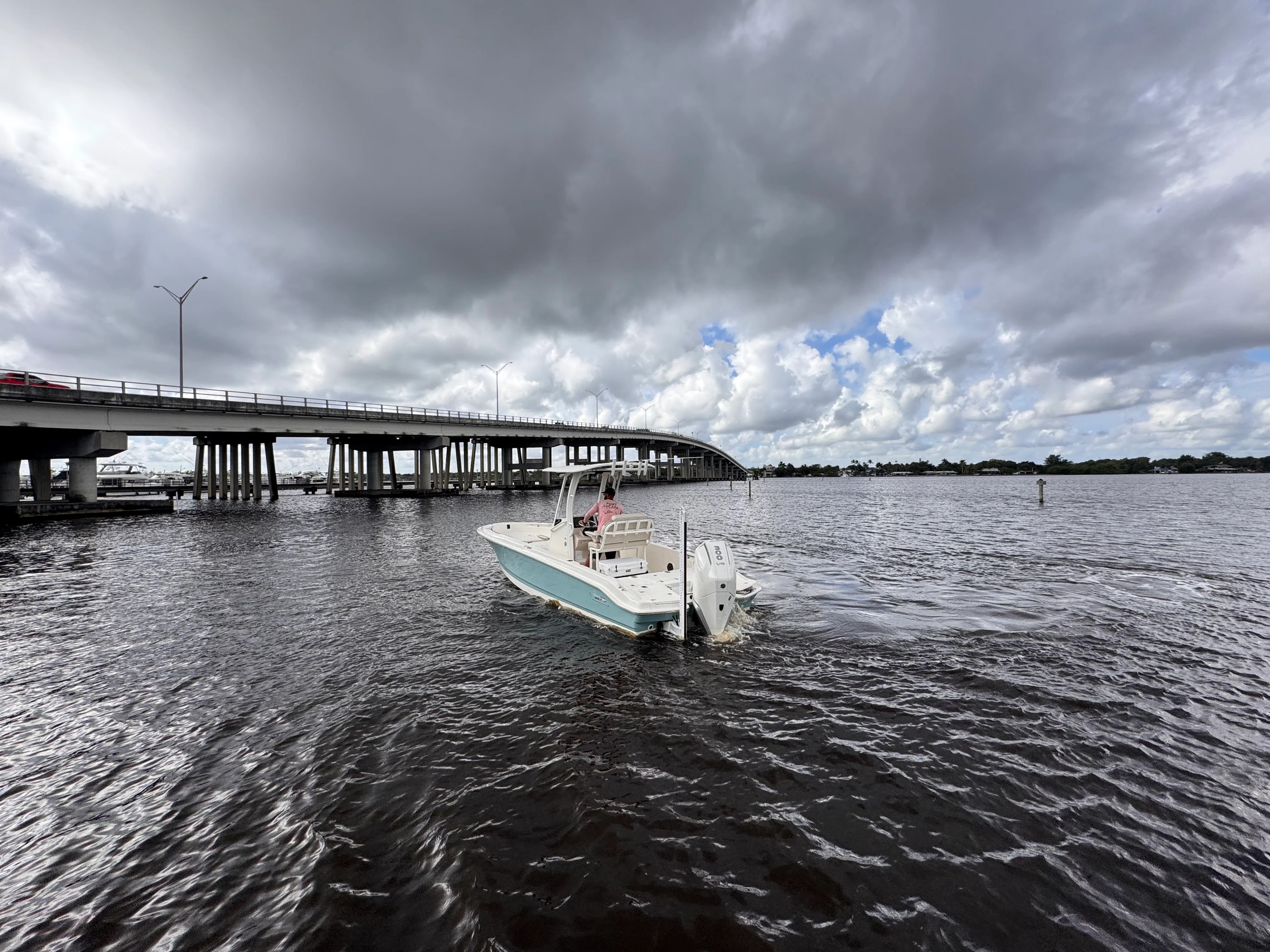 2026 Boston Whaler 250 Dauntless Image Thumbnail #5