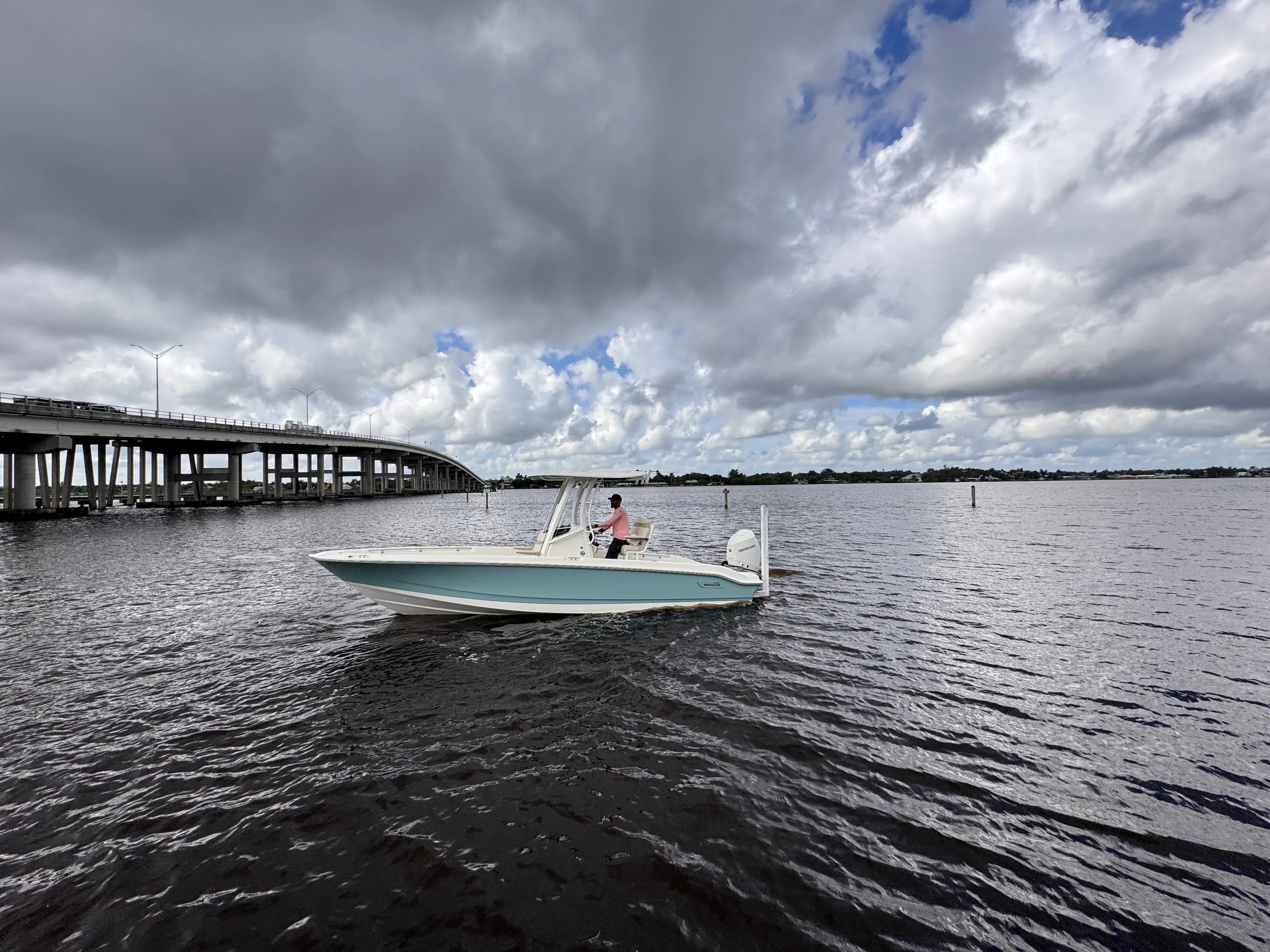 2026 Boston Whaler 250 Dauntless Image Thumbnail #0