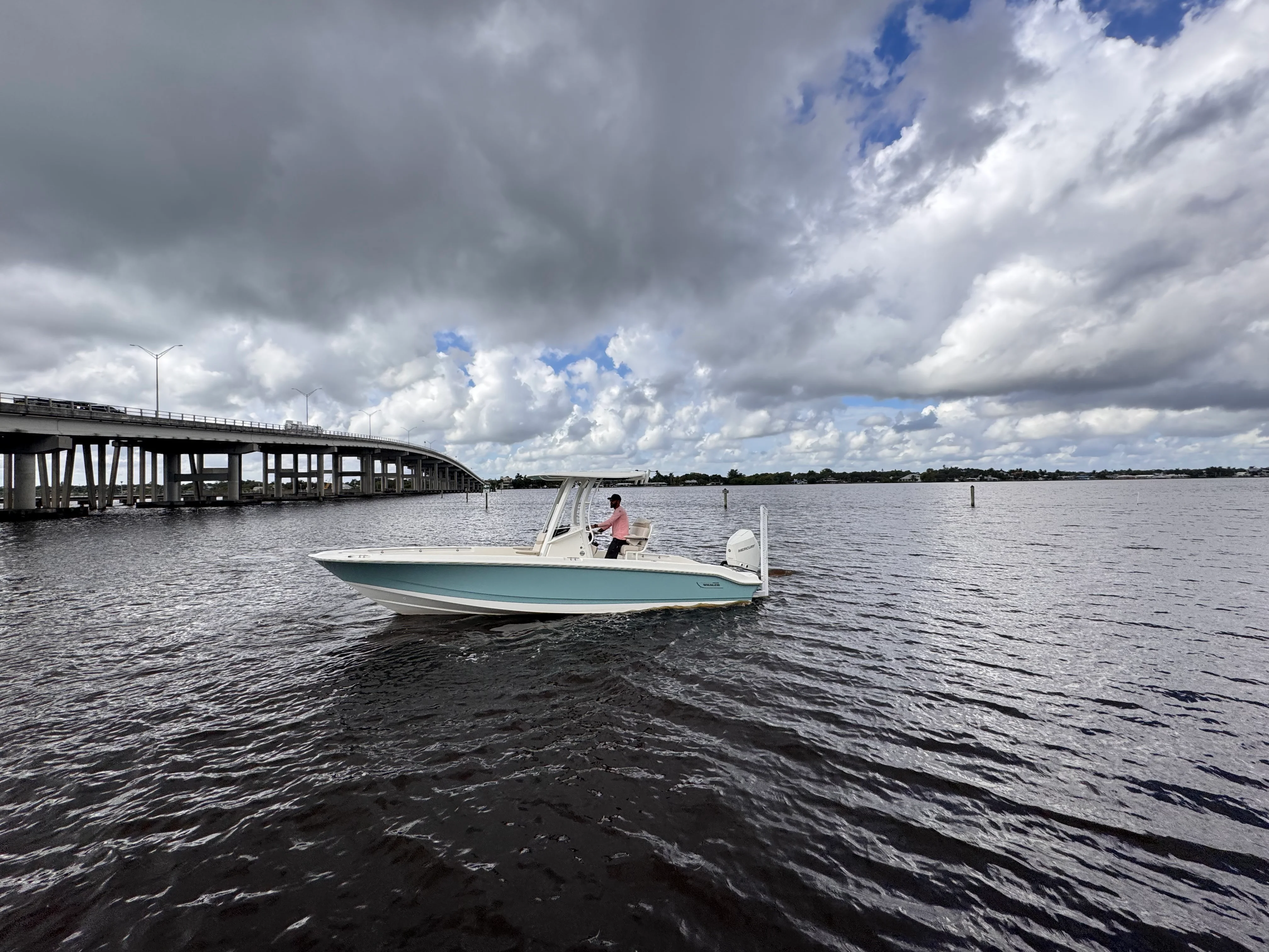 2026 Boston Whaler 250 Dauntless Image Thumbnail #0