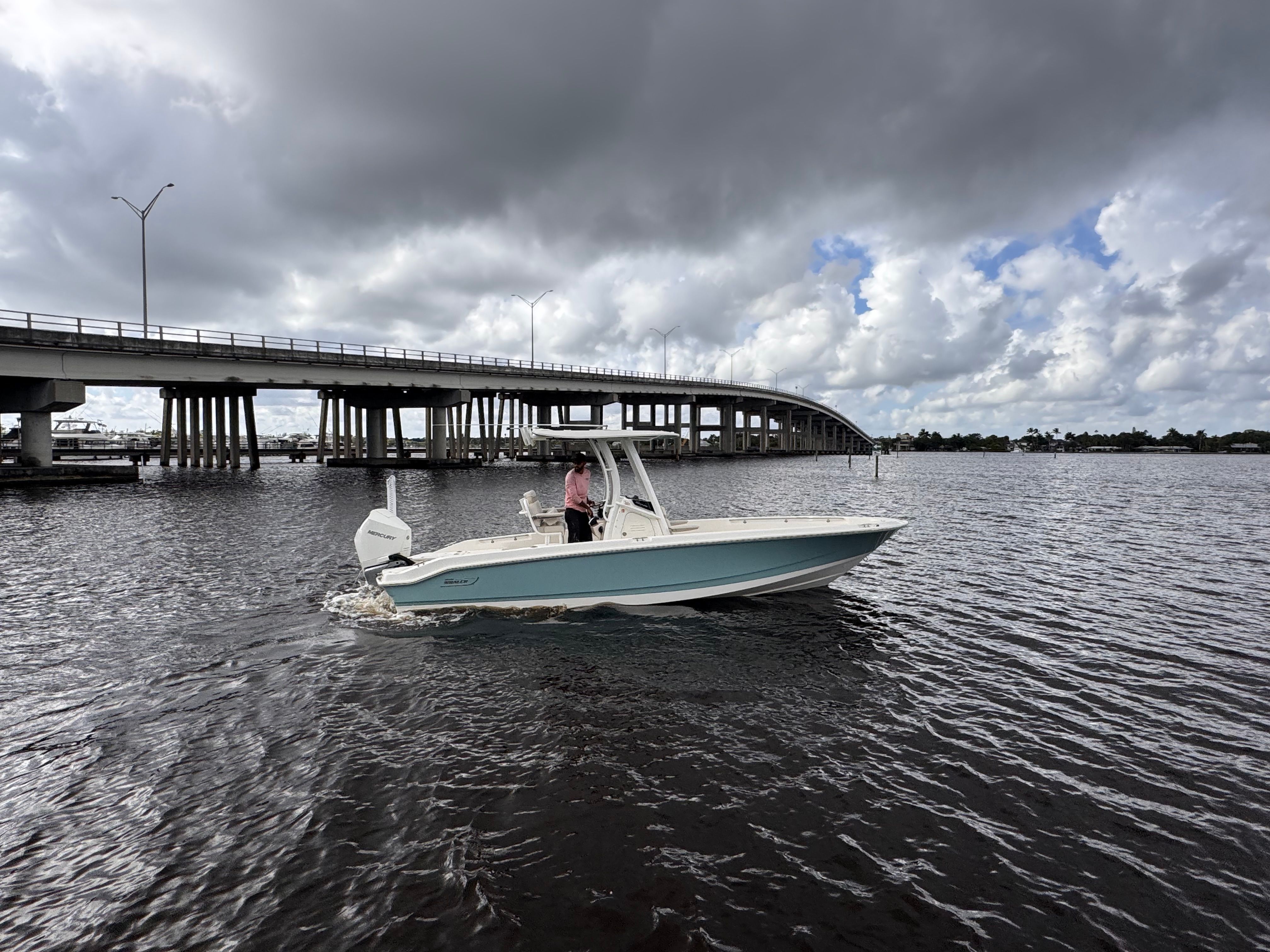2026 Boston Whaler 250 Dauntless Image Thumbnail #2