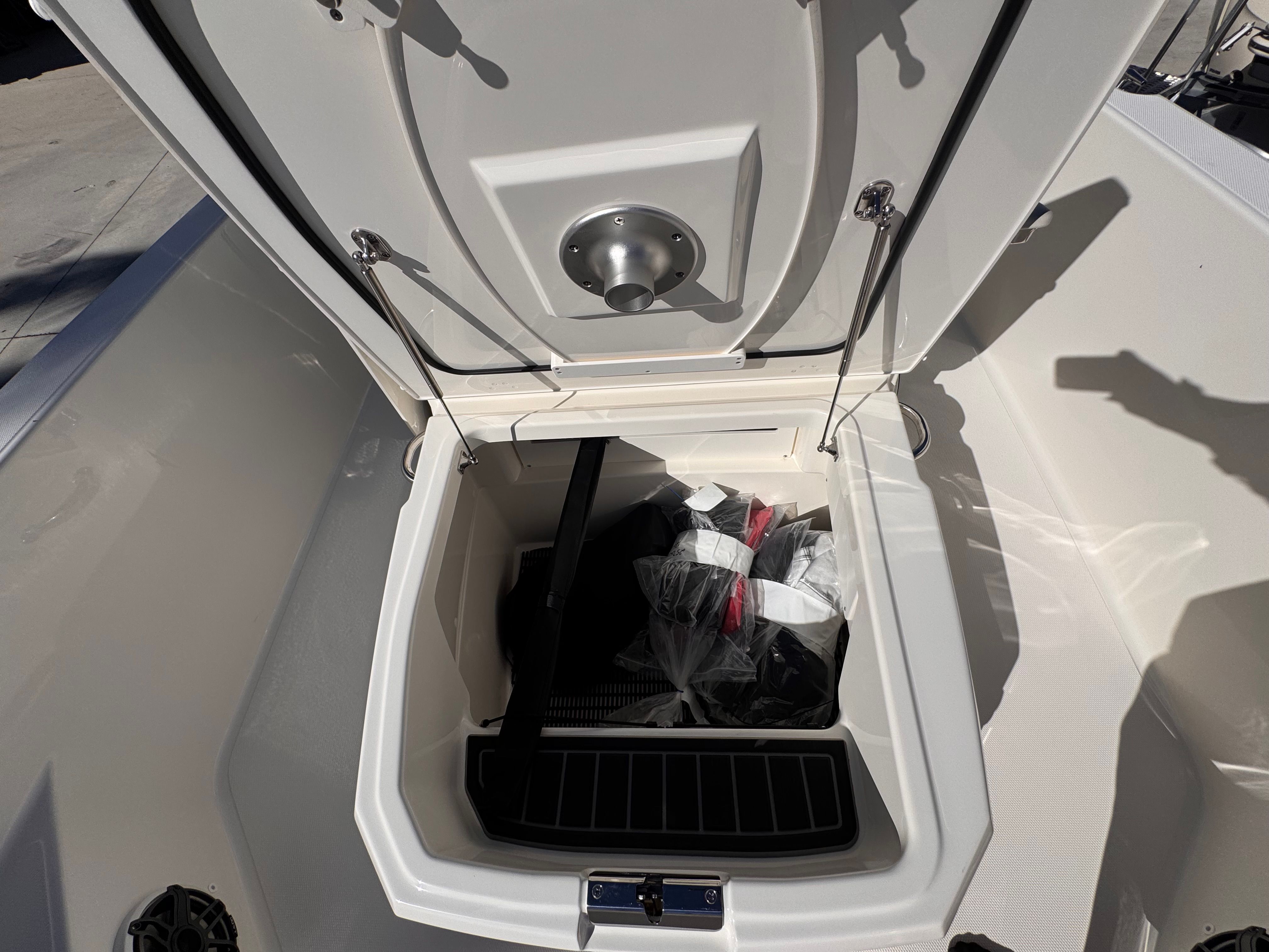 2026 Boston Whaler 250 Dauntless Image Thumbnail #23