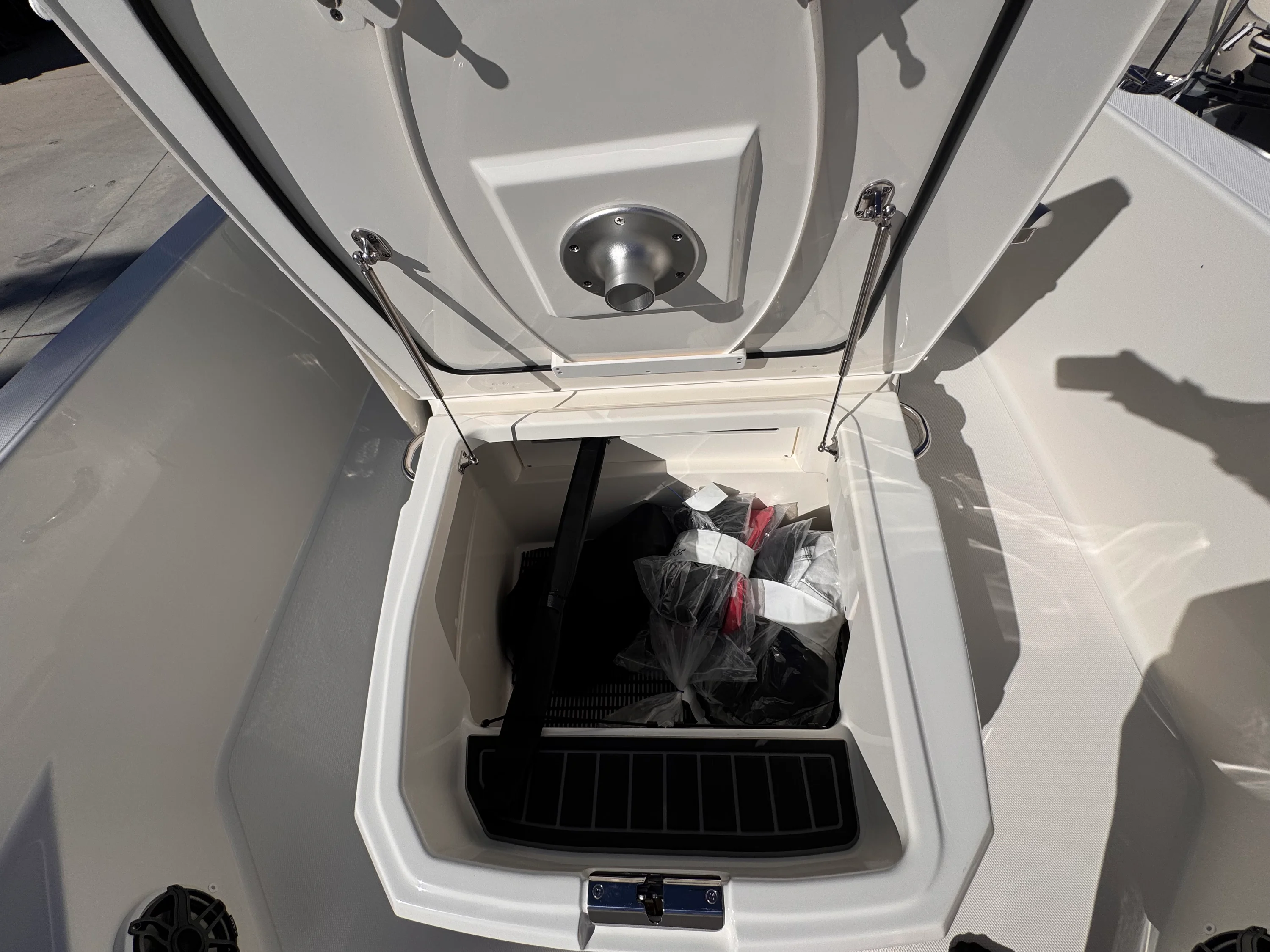 2026 Boston Whaler 250 Dauntless Image Thumbnail #23