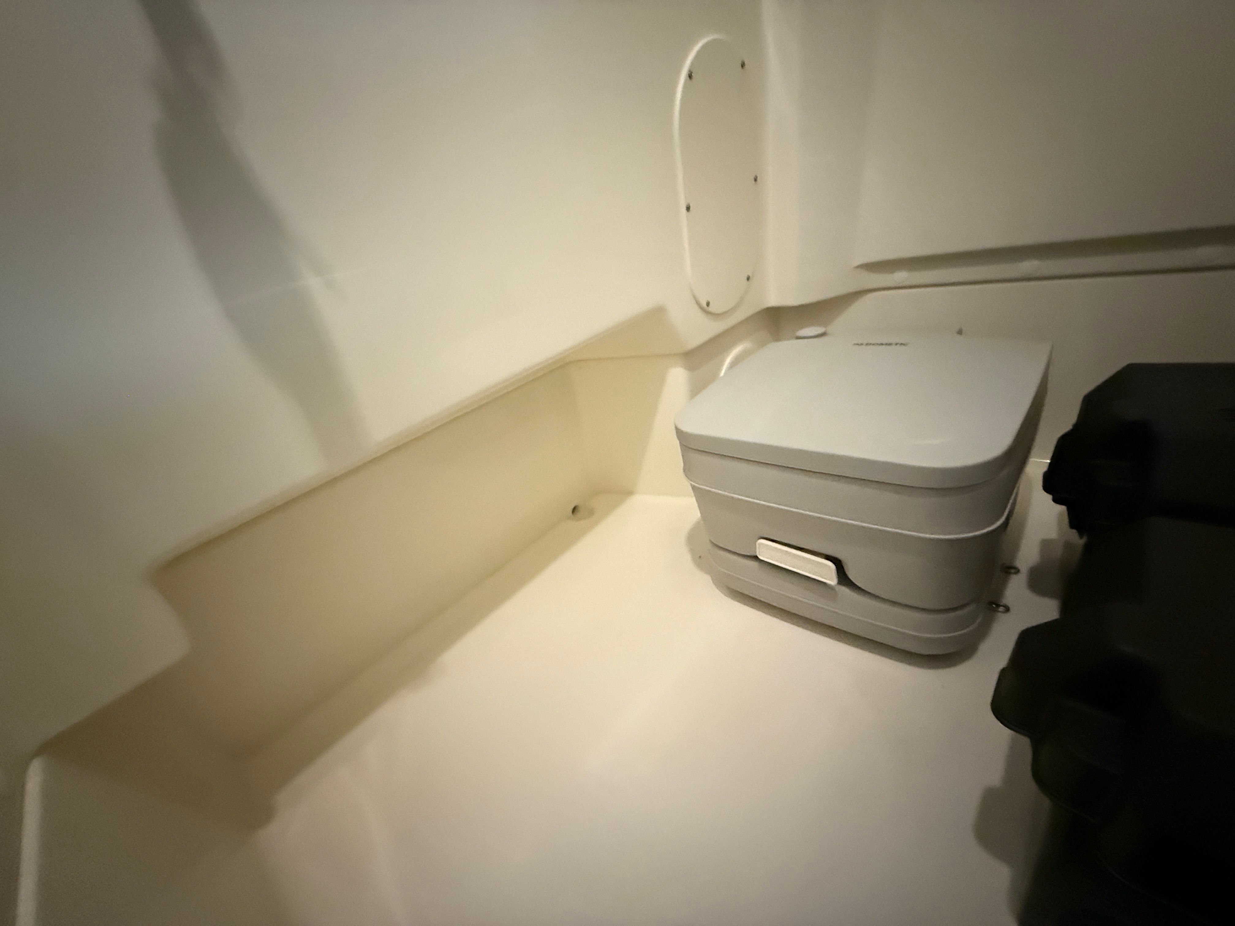 2026 Boston Whaler 250 Dauntless Image Thumbnail #74