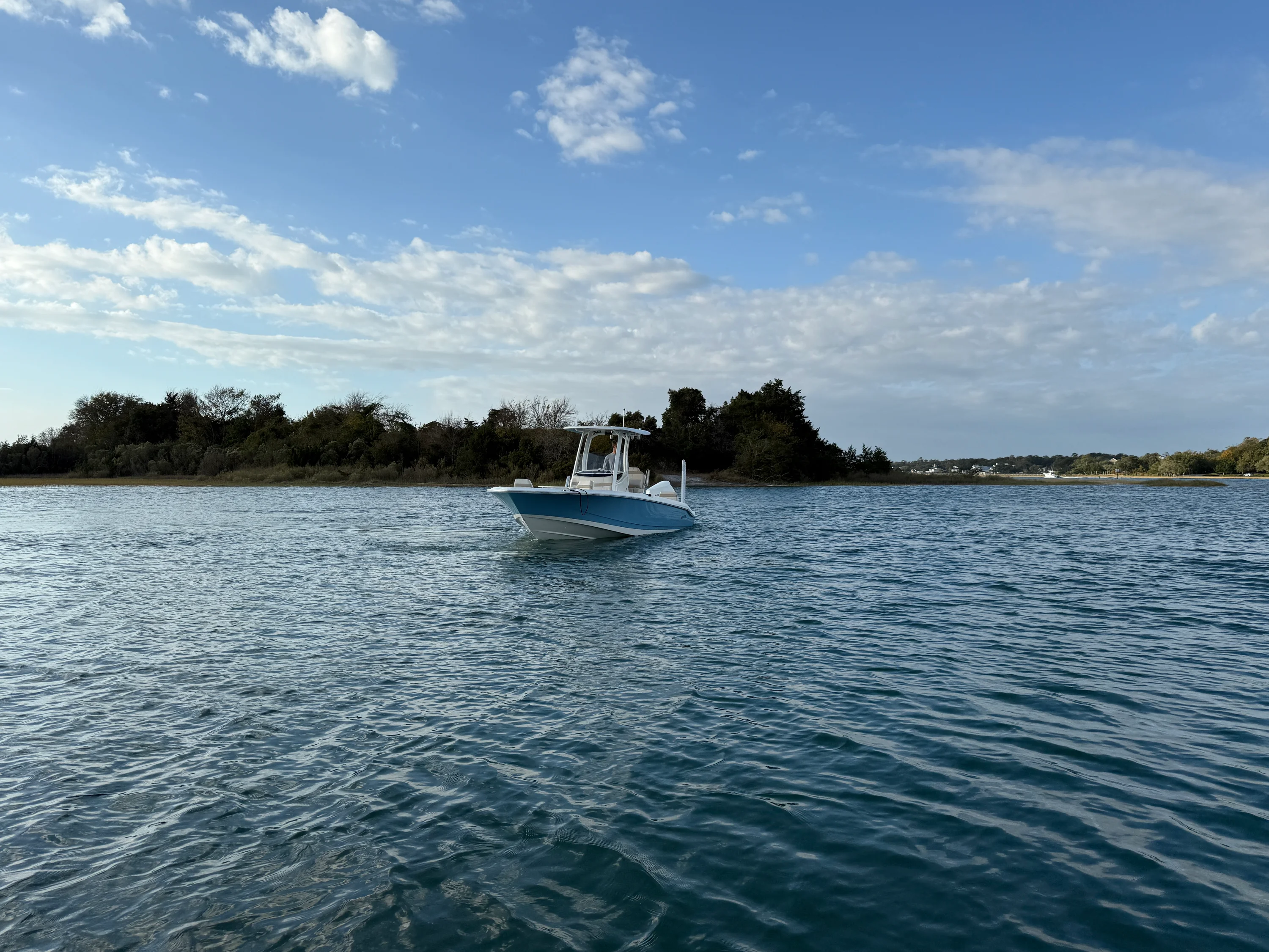 2026 Boston Whaler 250 Dauntless Image Thumbnail #2