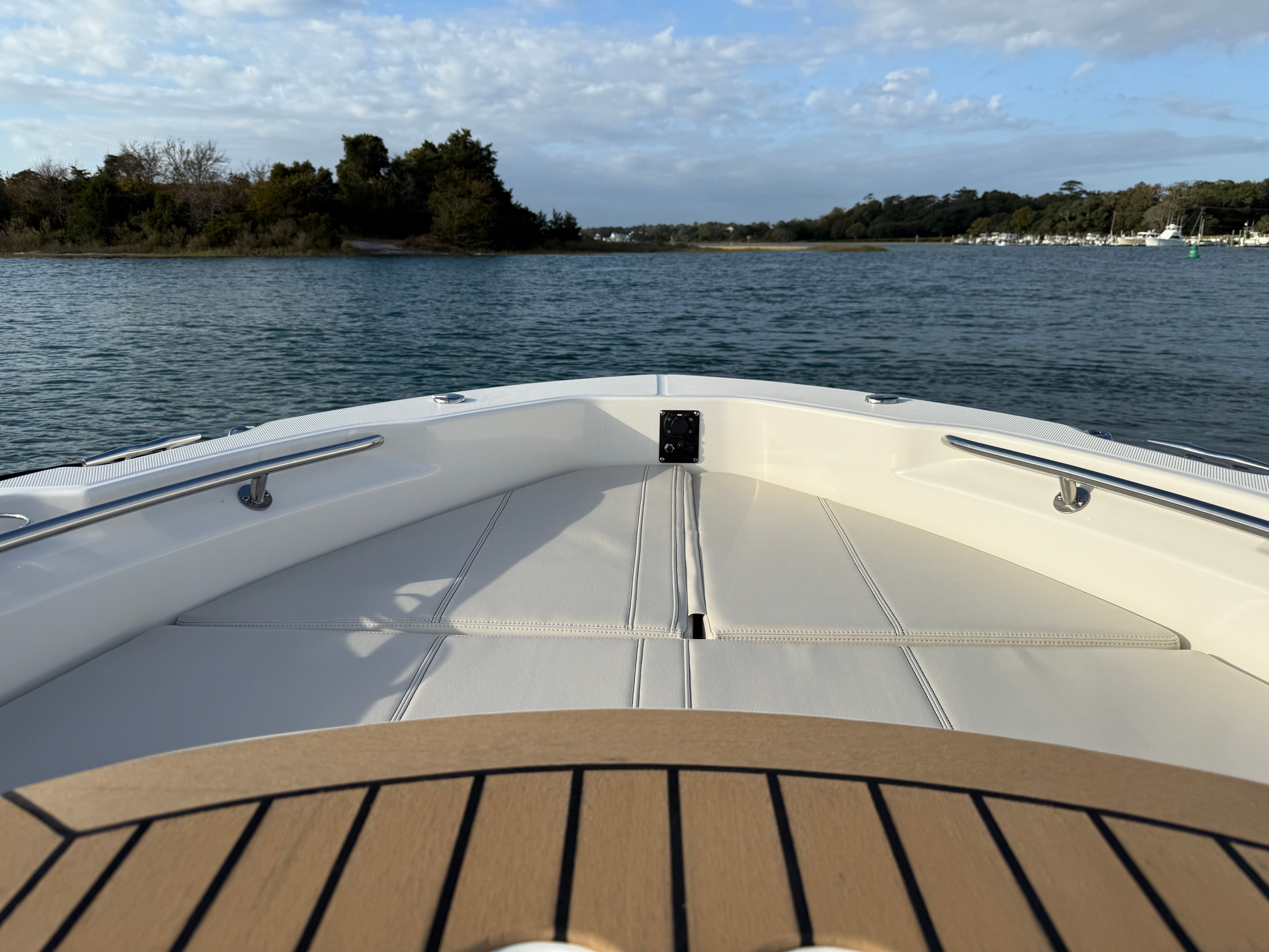 2026 Boston Whaler 250 Dauntless Image Thumbnail #15