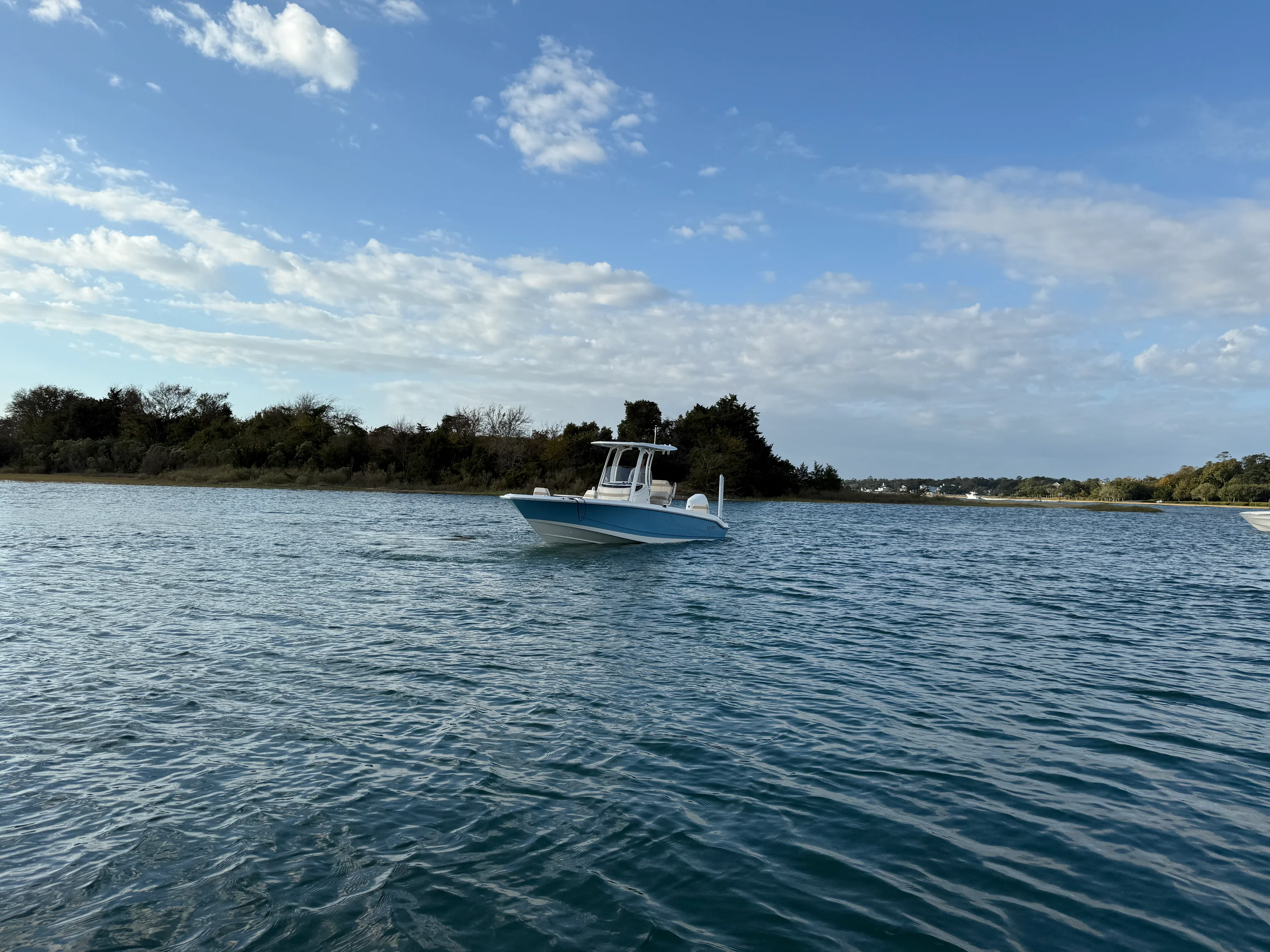 2026 Boston Whaler 250 Dauntless Image Thumbnail #3