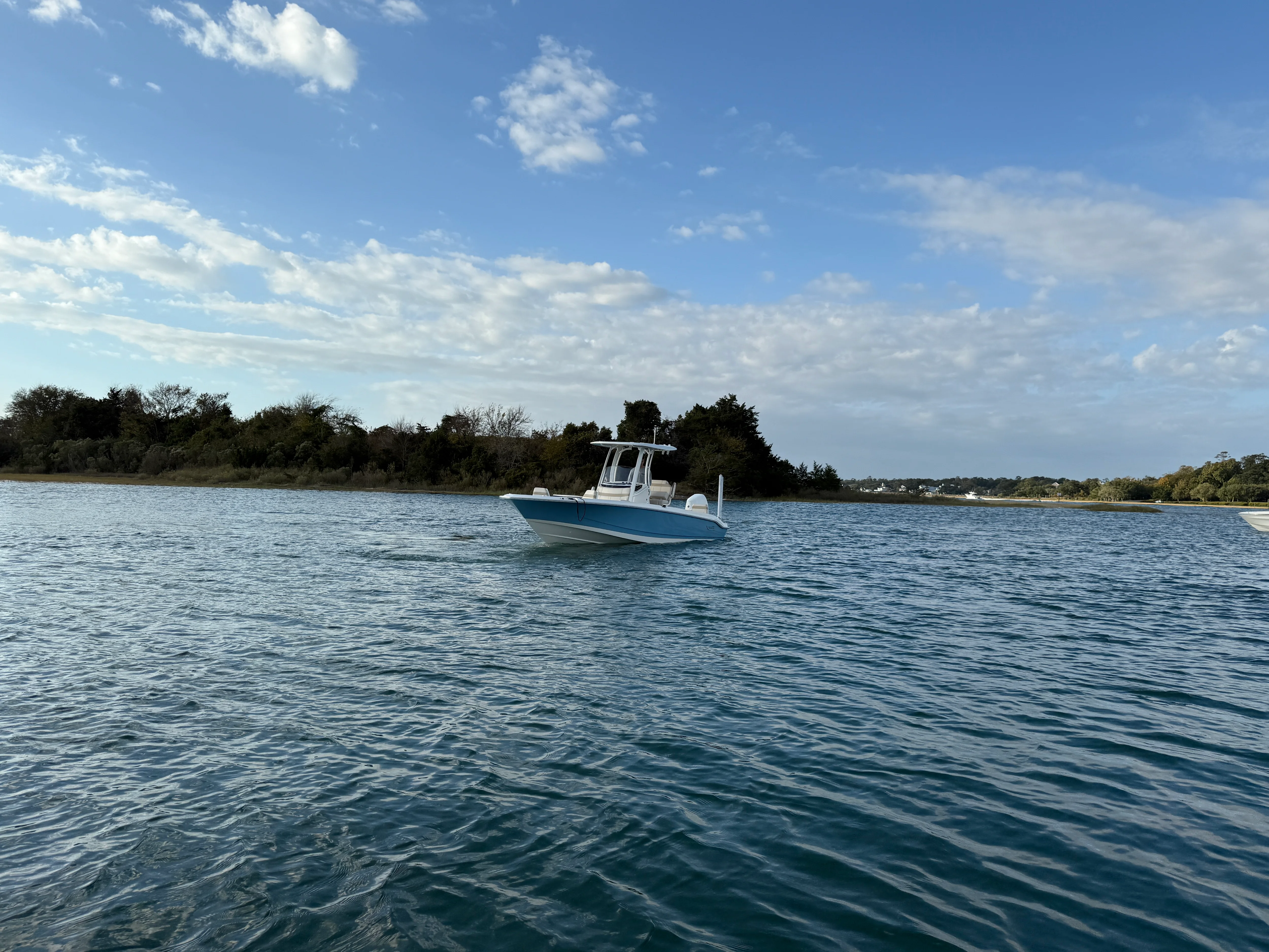 2026 Boston Whaler 250 Dauntless Image Thumbnail #3