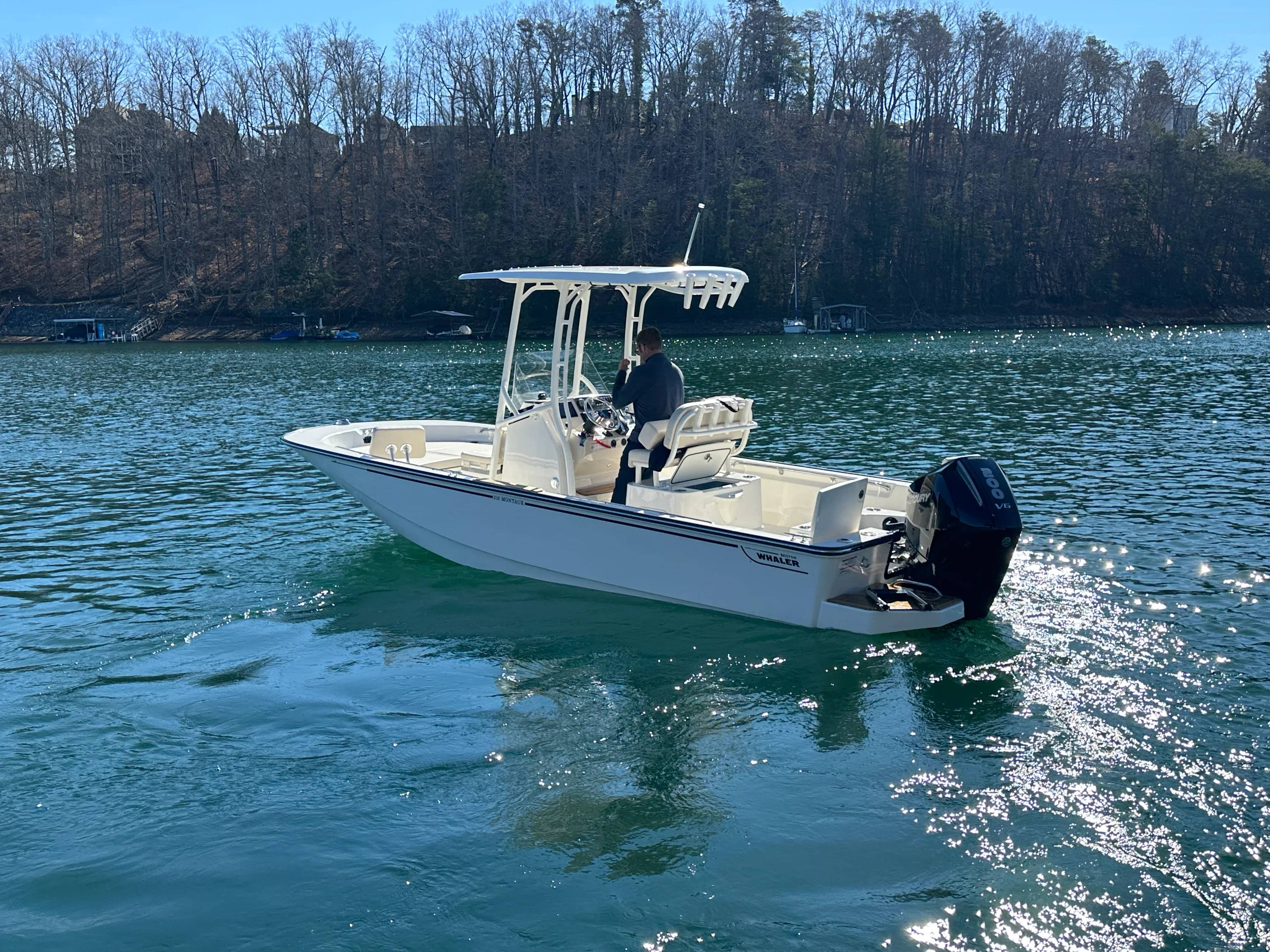 2026 Boston Whaler 210 Montauk Image Thumbnail #9