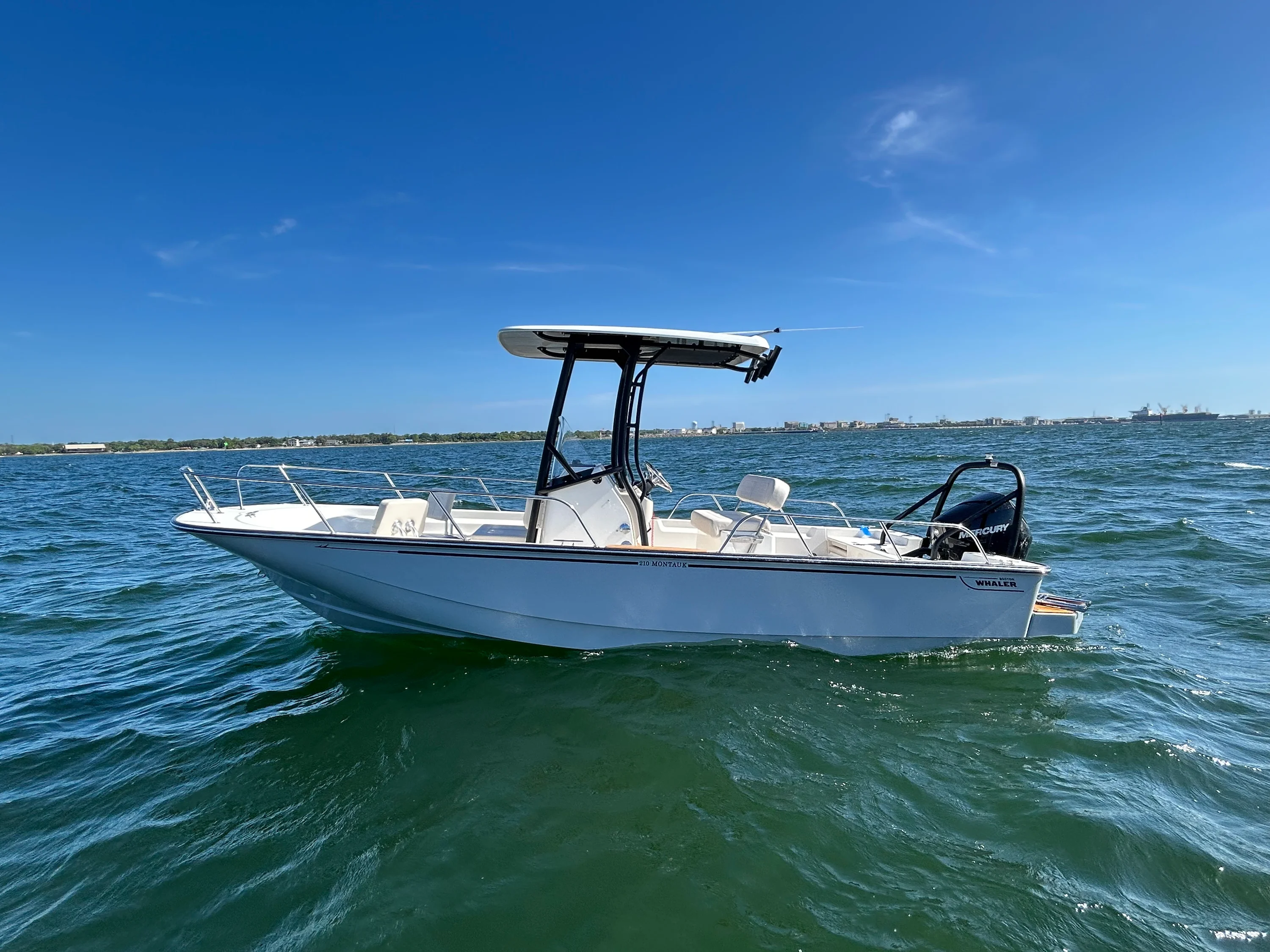 2026 Boston Whaler 210 Montauk Image Thumbnail #0