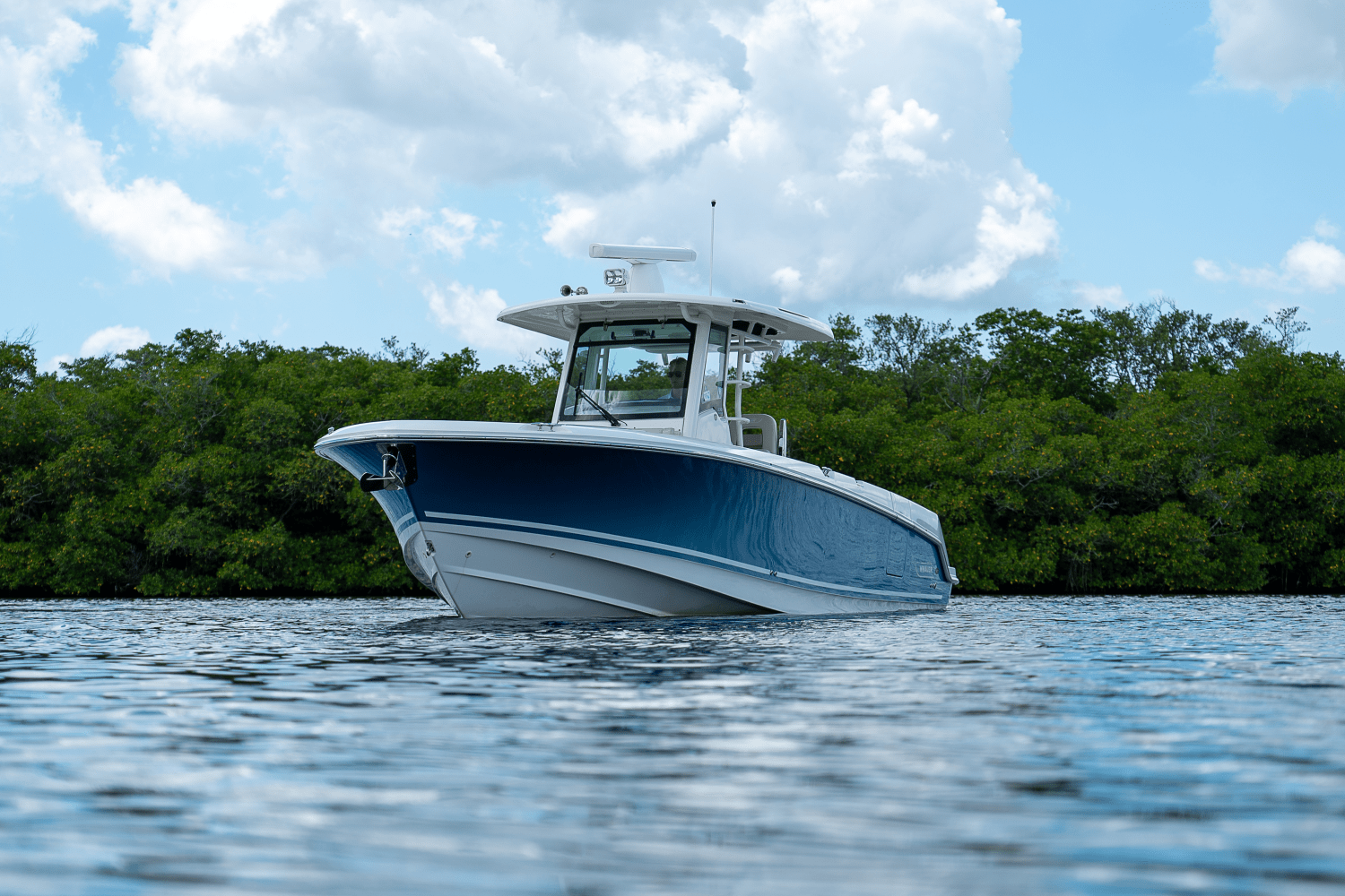 2018 Boston Whaler 330 Outrage Image Thumbnail #44