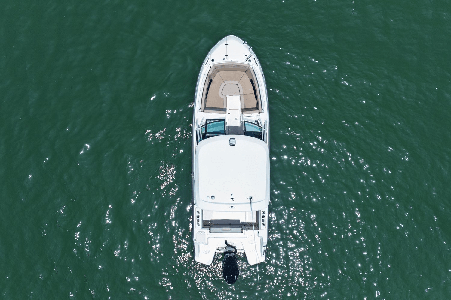 2022 Boston Whaler 240 VANTAGE Image Thumbnail #10