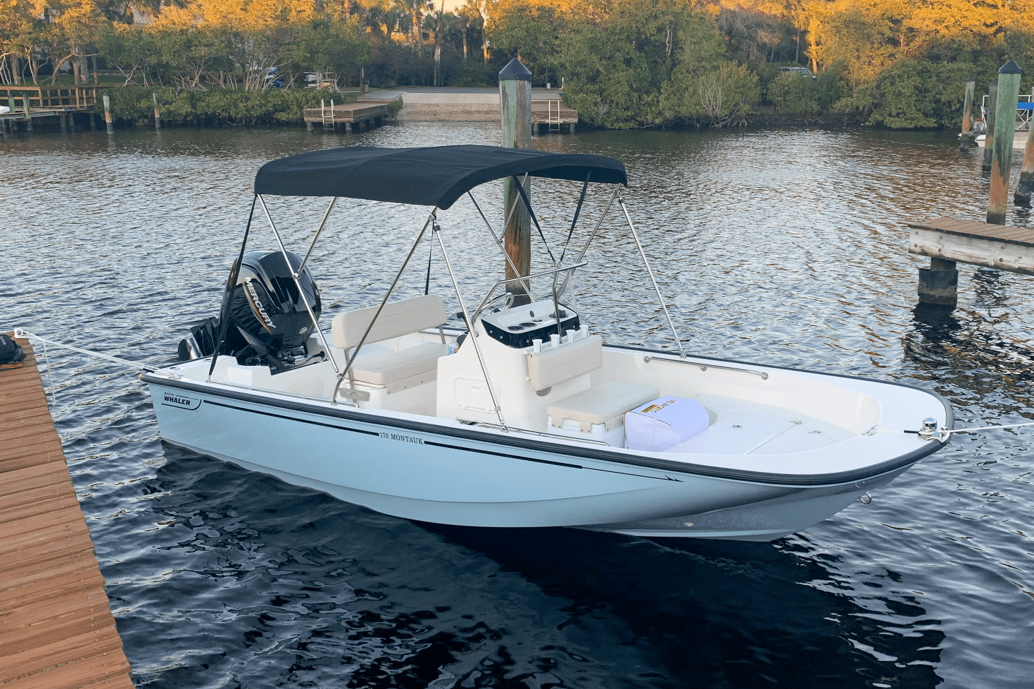 2020 Boston Whaler 17 MONTAUK Image Thumbnail #5