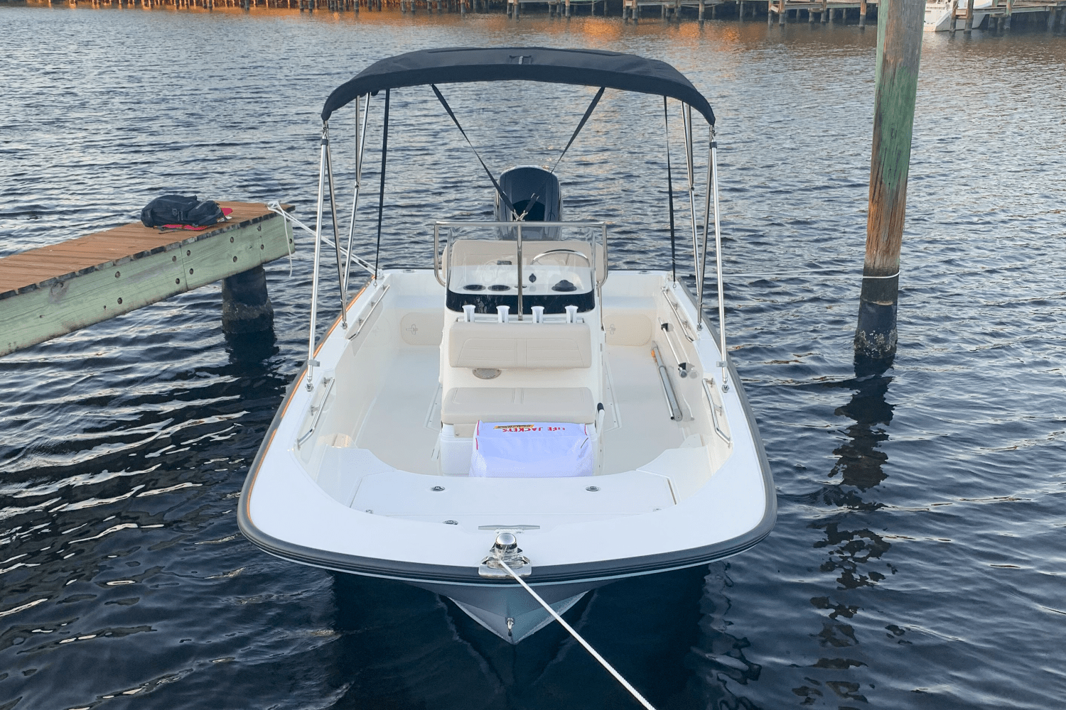 2020 Boston Whaler 17 MONTAUK Image Thumbnail #6