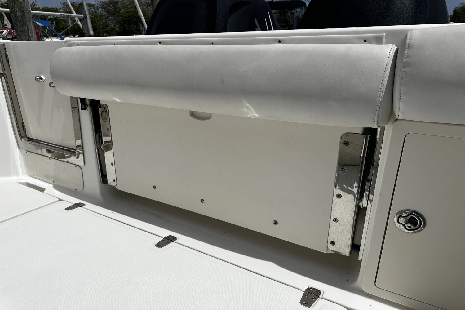 2009 Boston Whaler 250 OUTRAGE Image Thumbnail #4