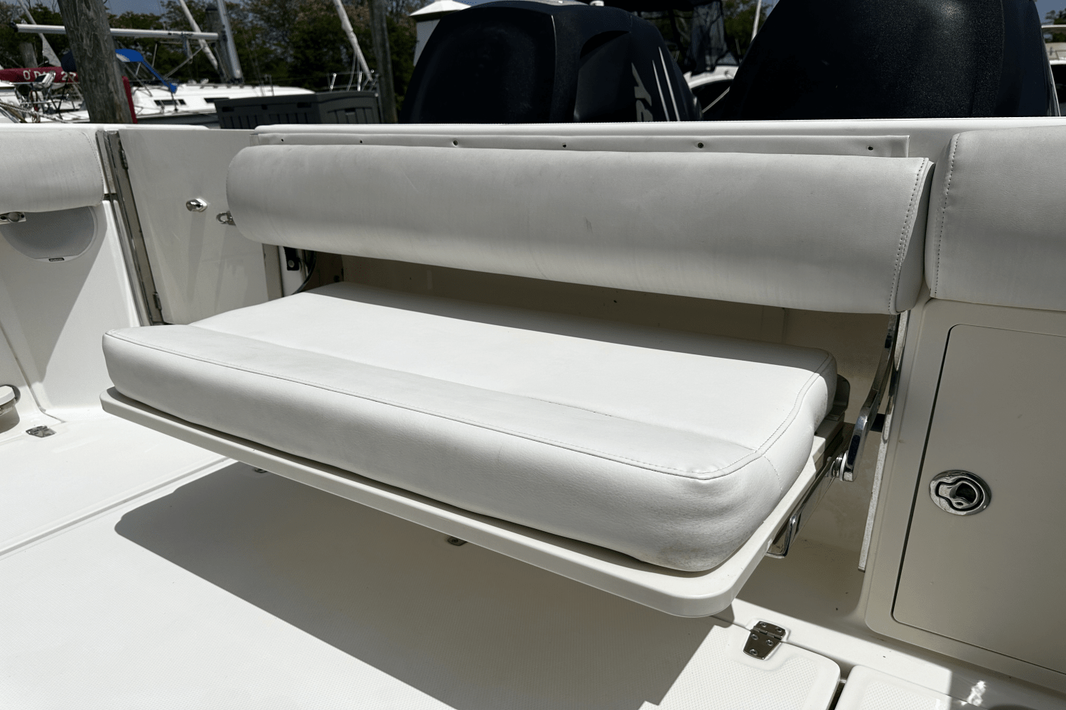 2009 Boston Whaler 250 OUTRAGE Image Thumbnail #5