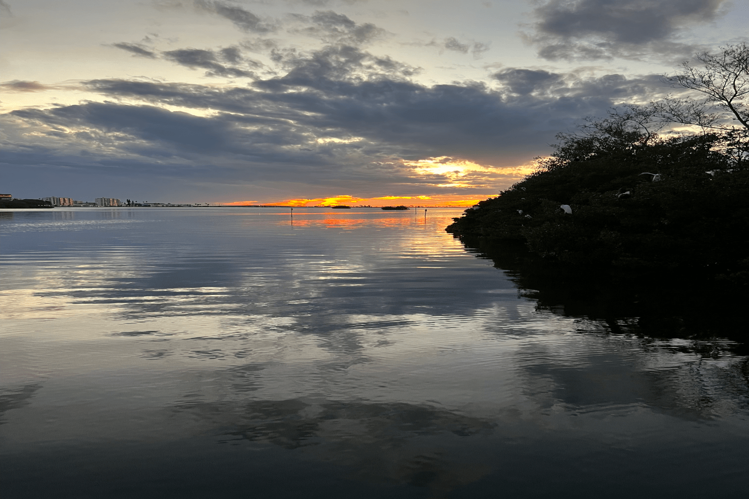 2023 Sea Ray 250 SDX-OB Image Thumbnail #8