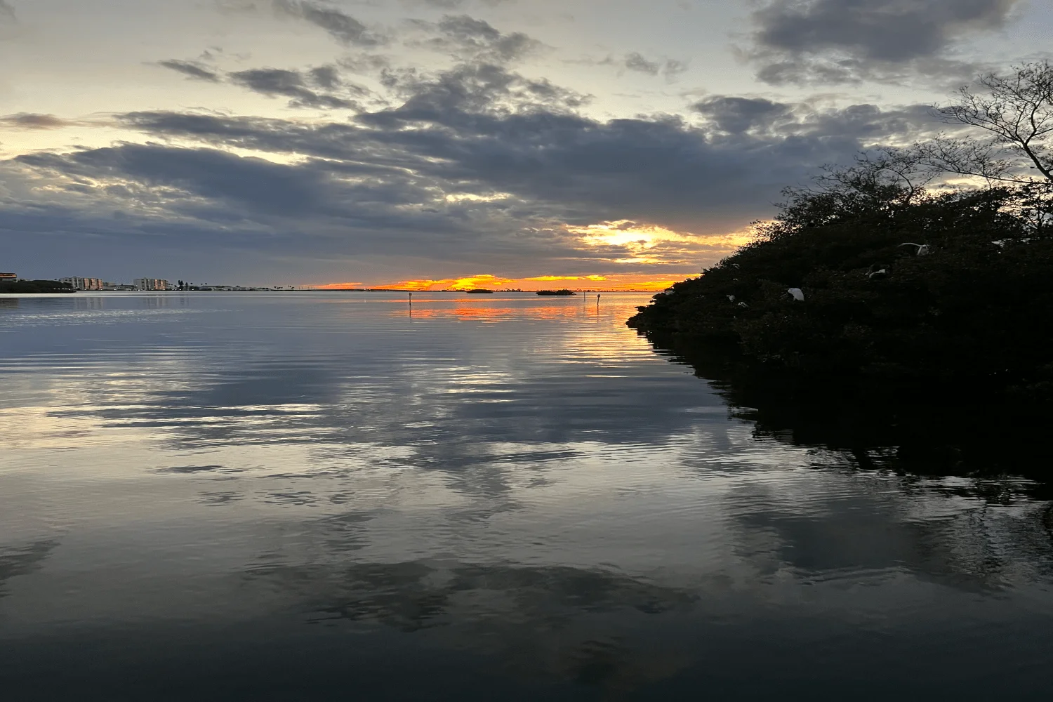 2023 Sea Ray 250 SDX-OB Image Thumbnail #8