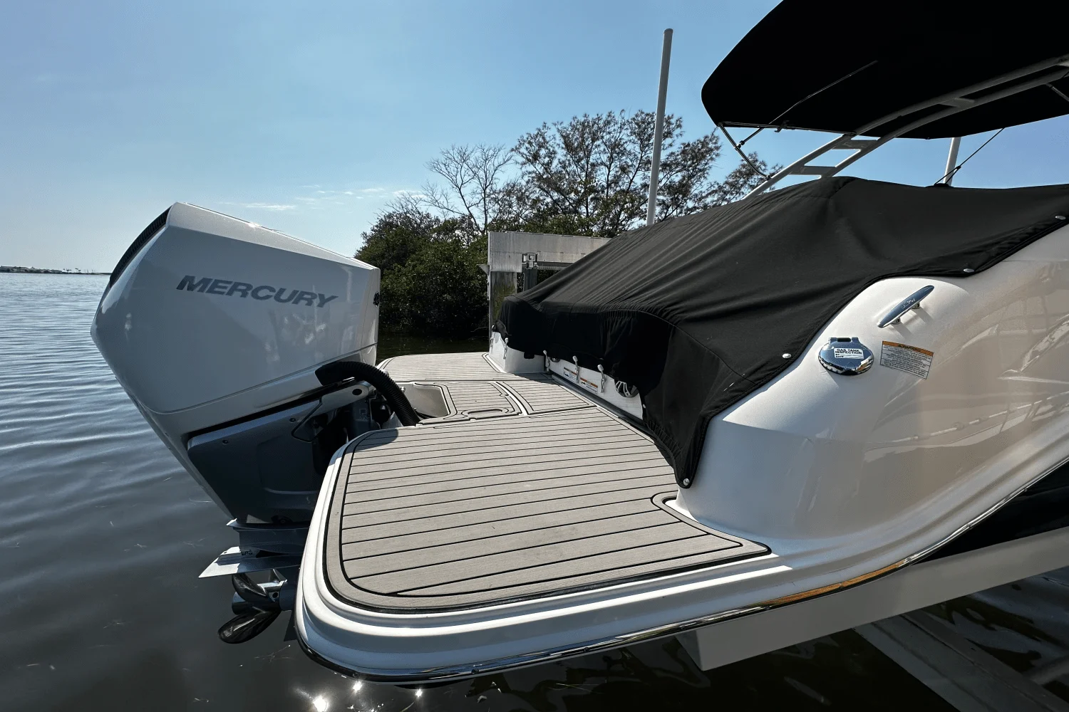 2023 Sea Ray 250 SDX-OB Image Thumbnail #5