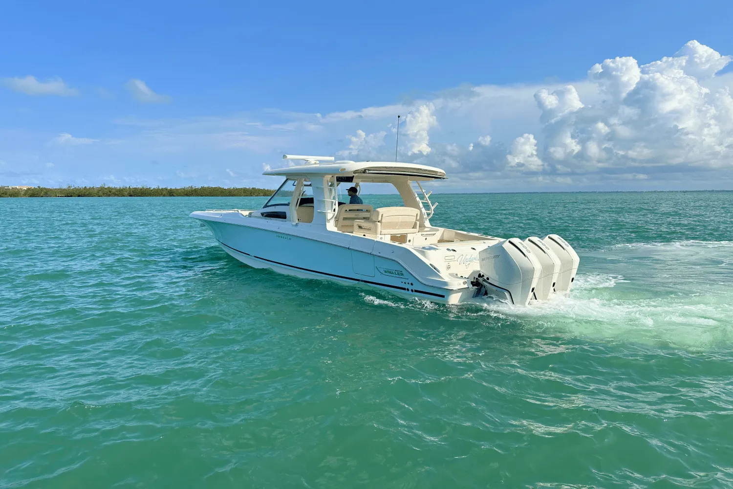 2023 Boston Whaler 350 REALM Image Thumbnail #6