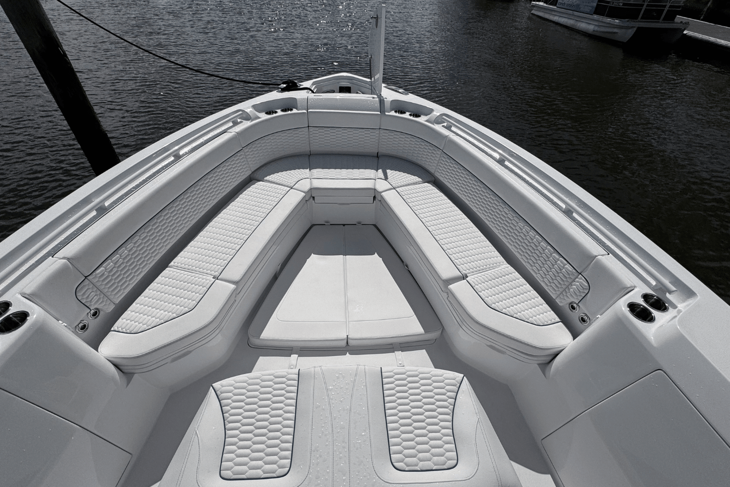 2025 Intrepid 41 PANACEA Image Thumbnail #12