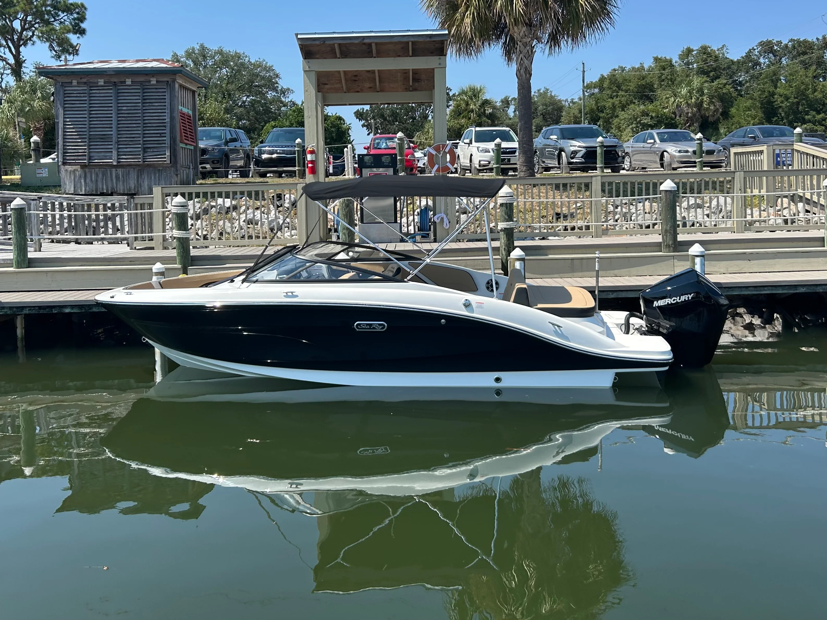 2026 Sea Ray SPX 210 Outboard Image Thumbnail #1