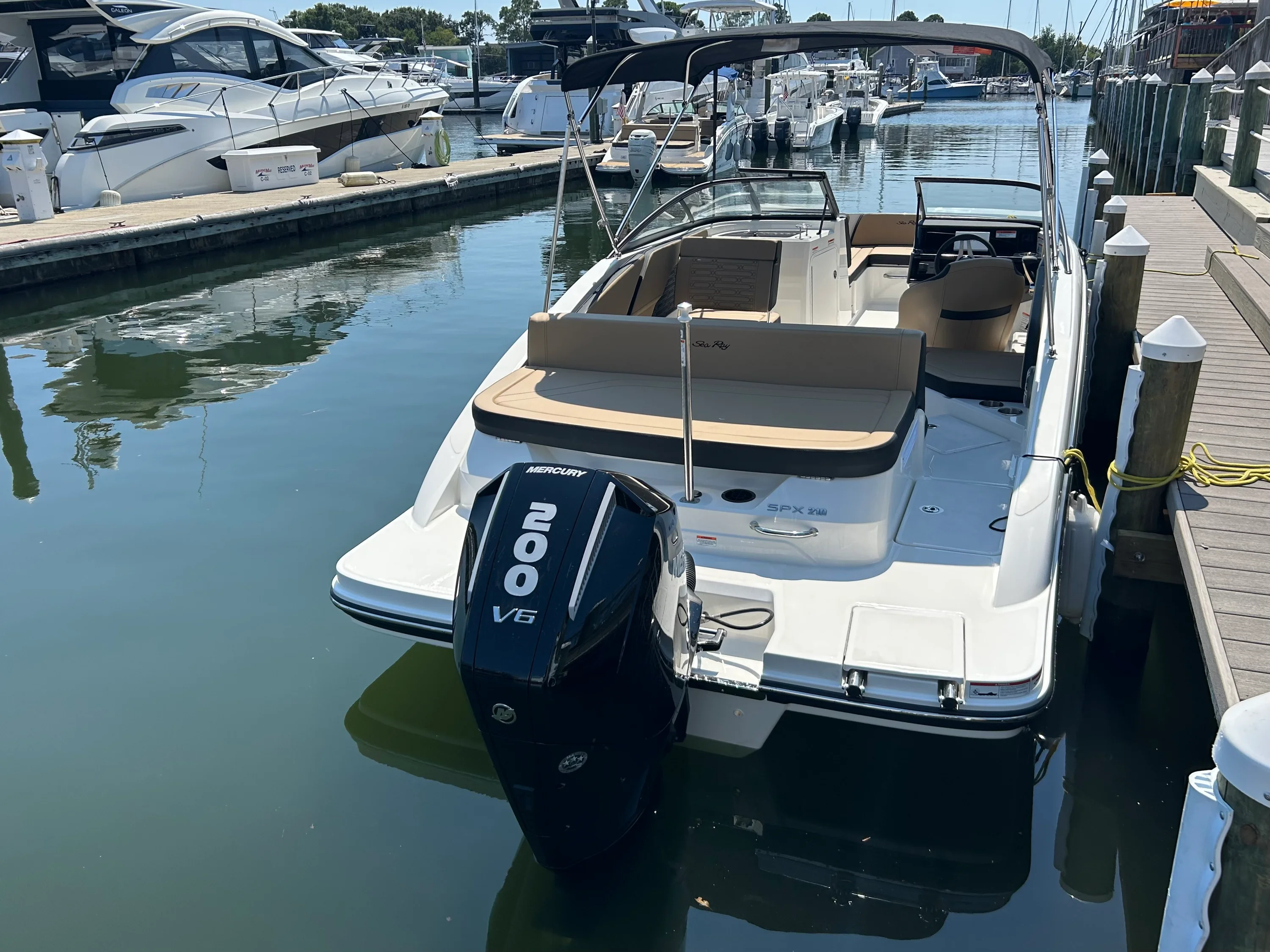 2026 Sea Ray SPX 210 Outboard Image Thumbnail #3