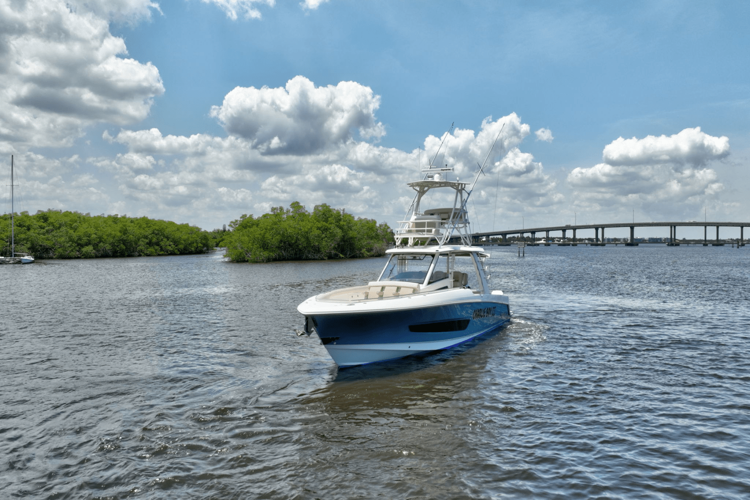 2020 Boston Whaler 420 OUTRAGE Image Thumbnail #46