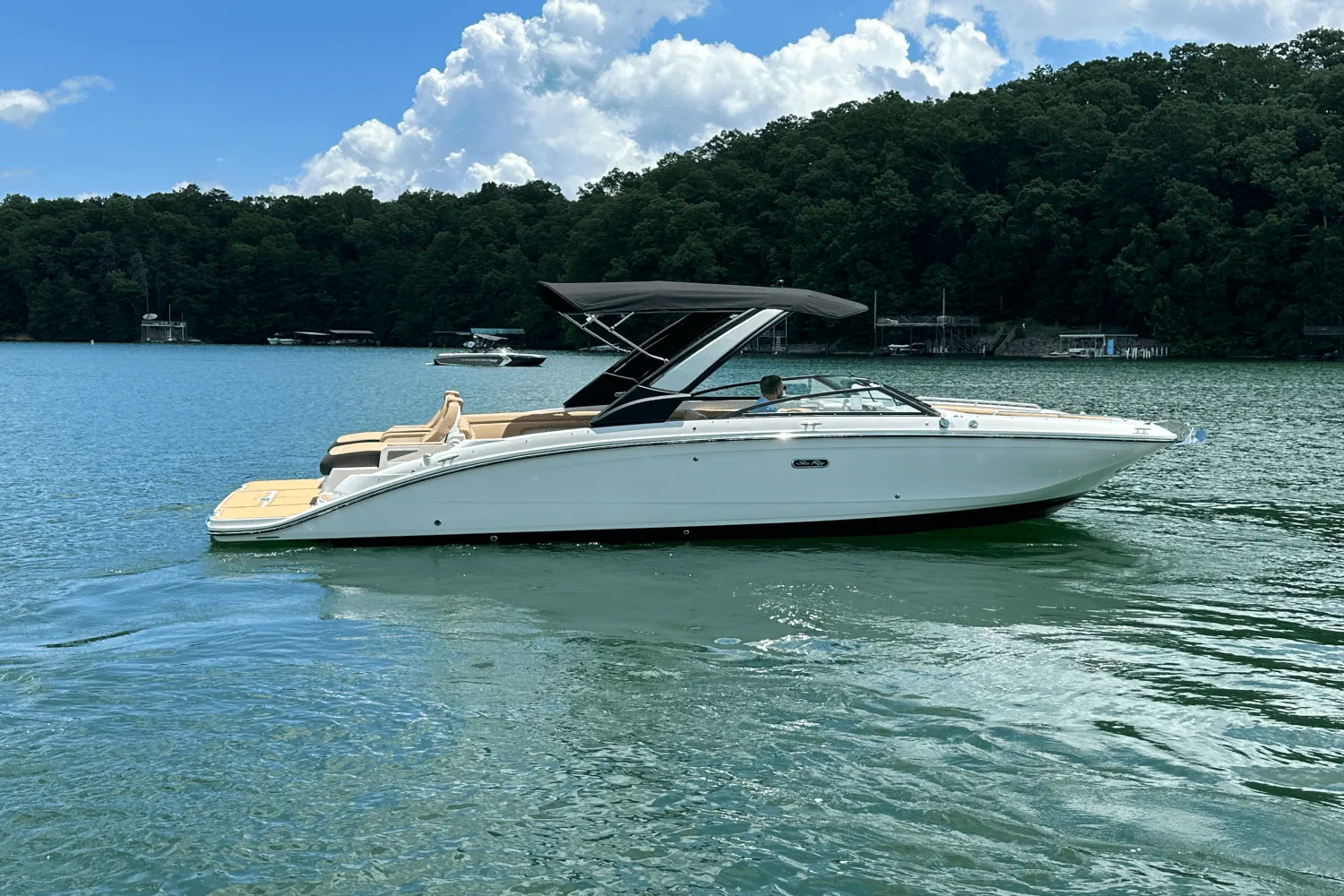 2026 Sea Ray SDX 290 Image Thumbnail #8